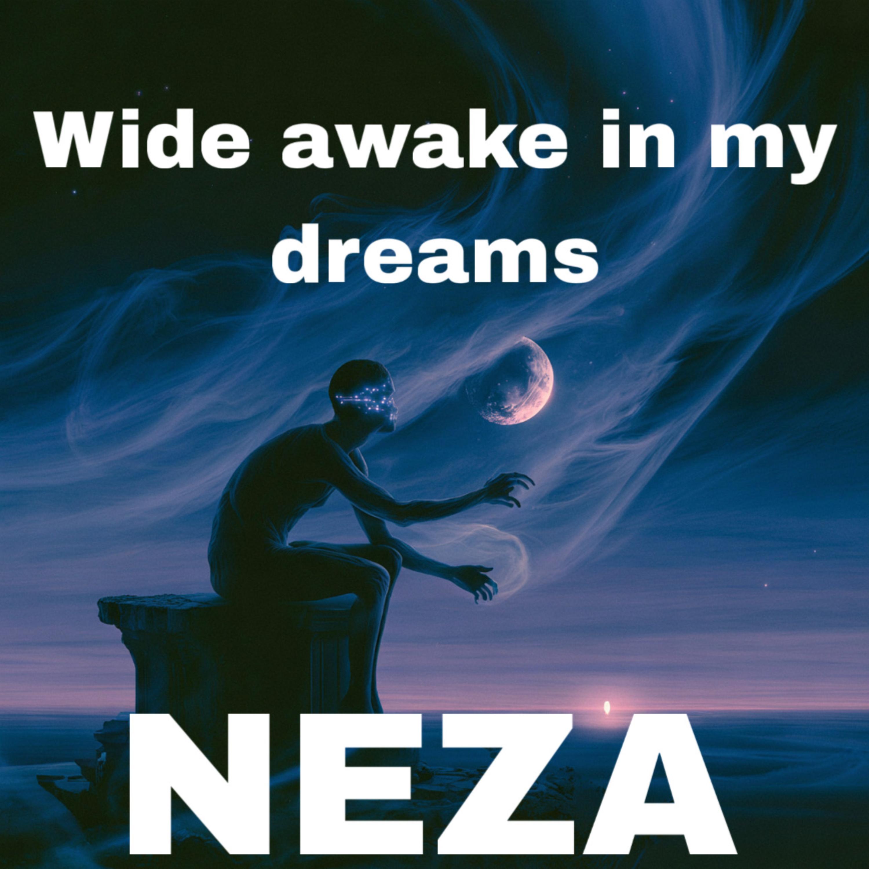 Wide Awake In My Dreams artwork