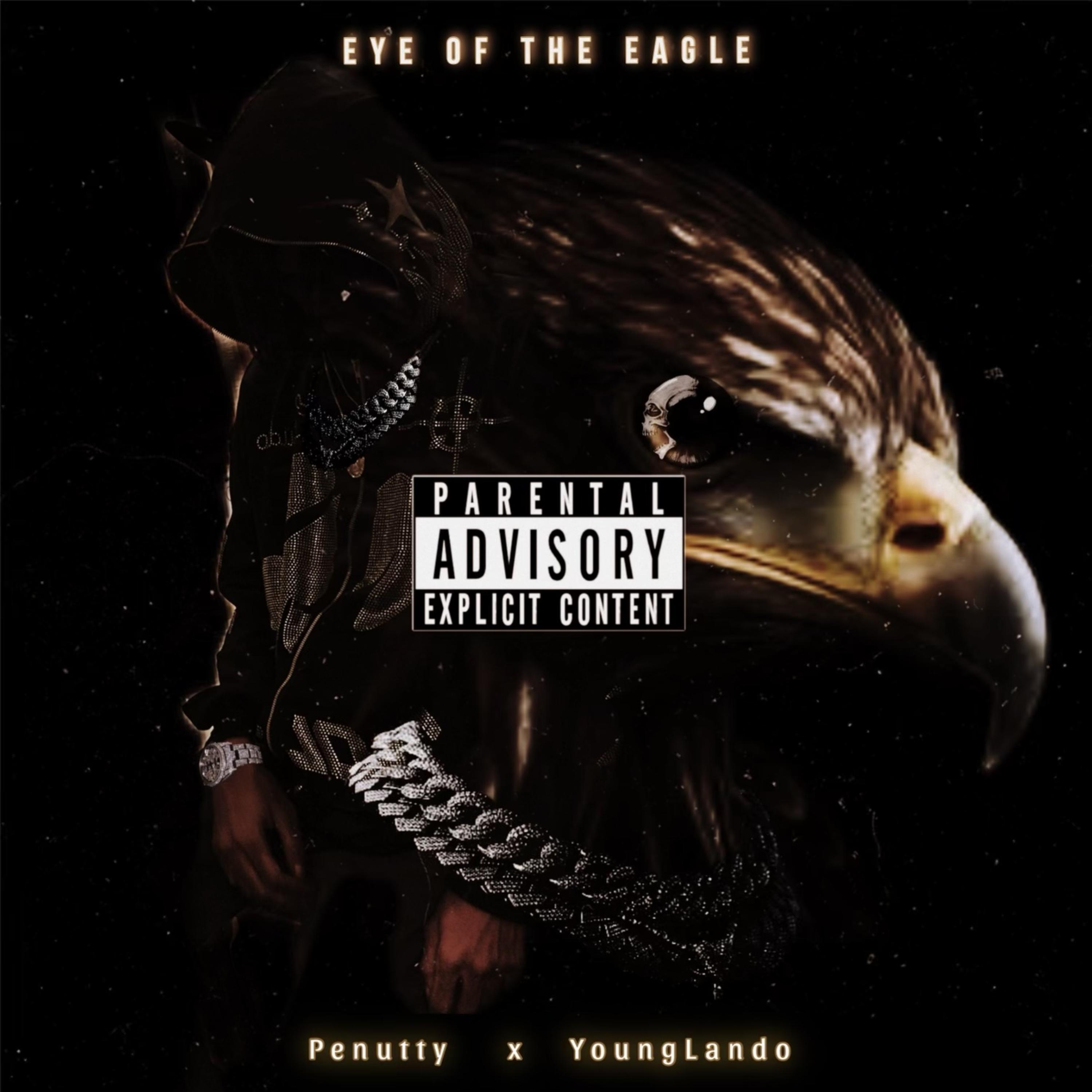 Eye Of Tha Eagle artwork