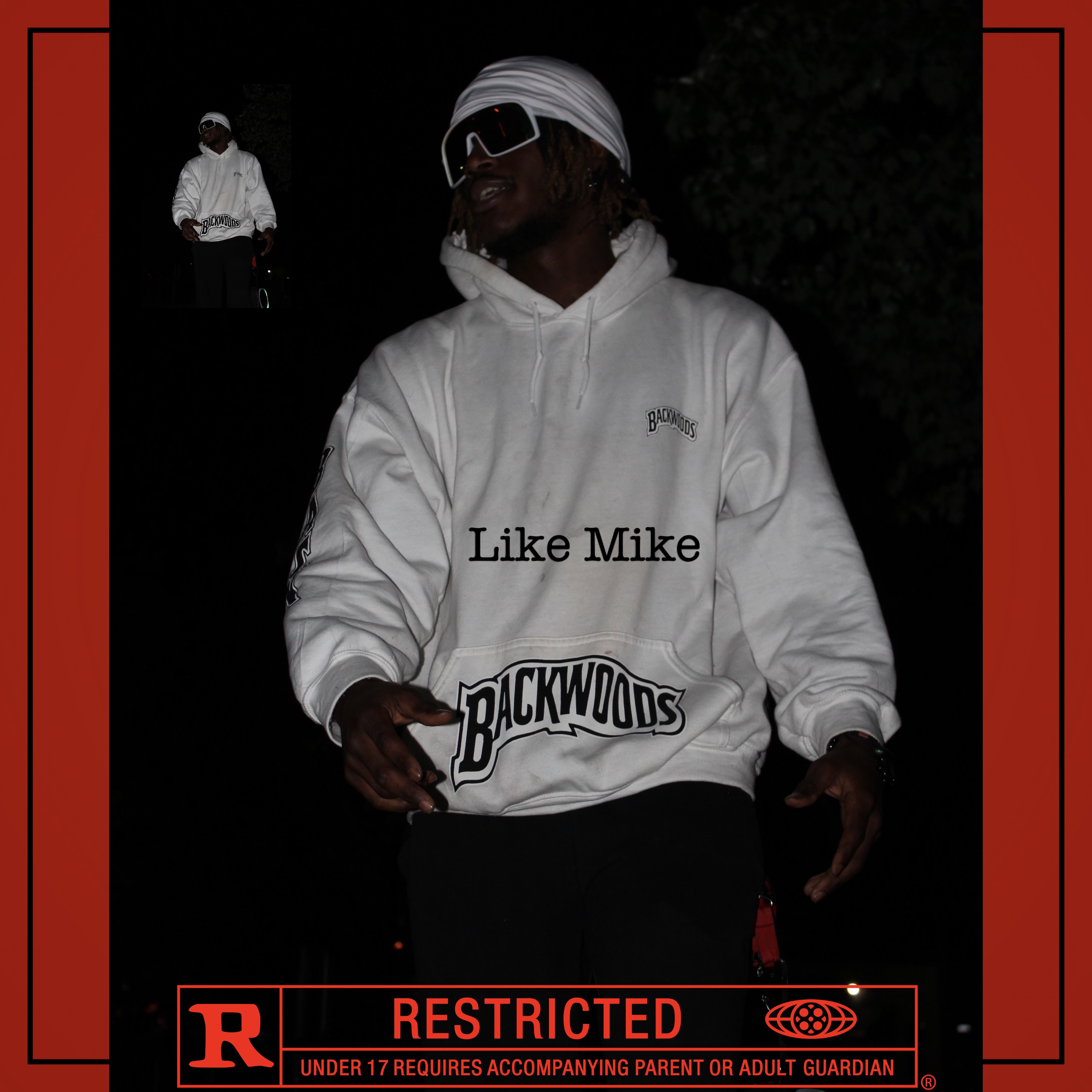 Like Mike (no hook) artwork