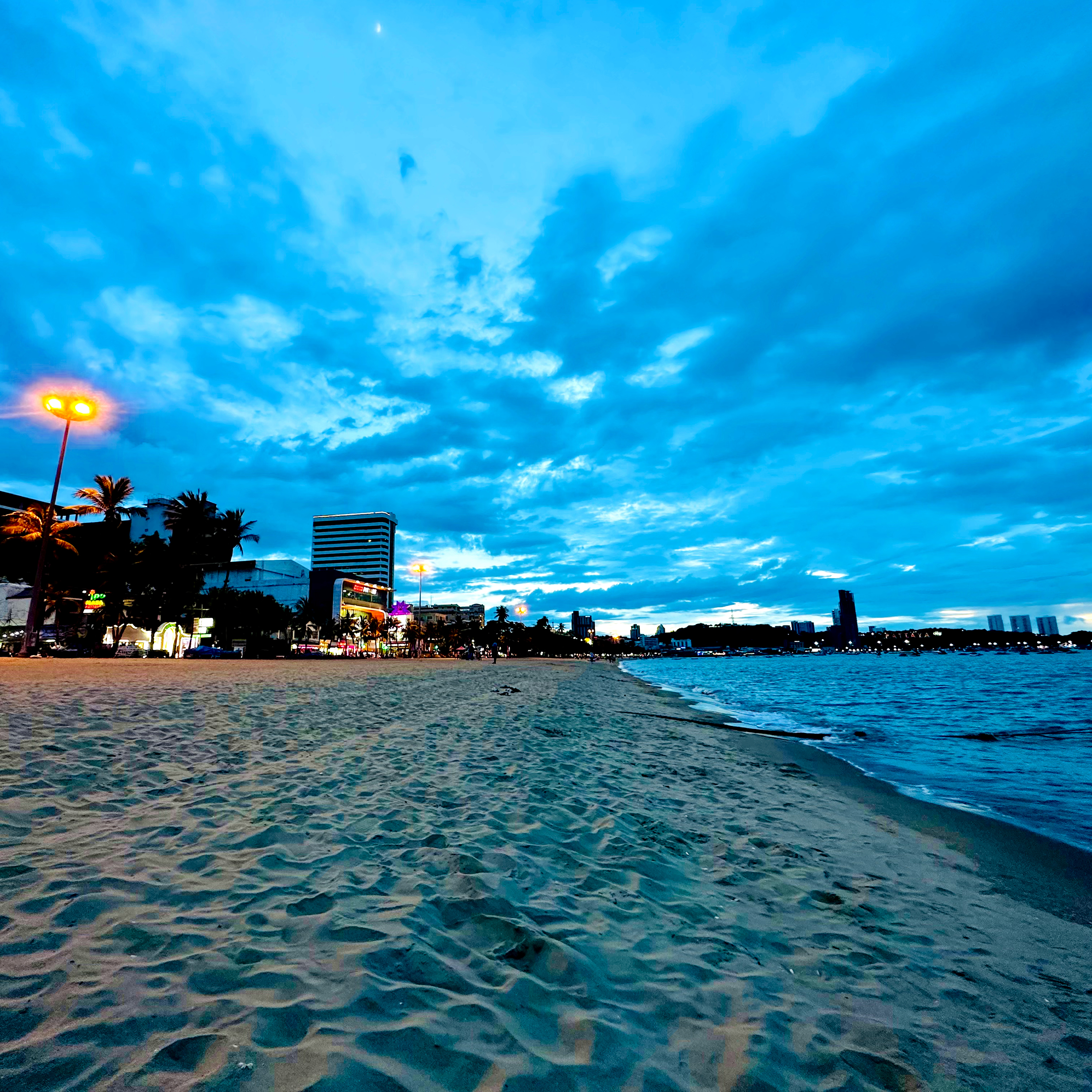 Enchanting Night artwork