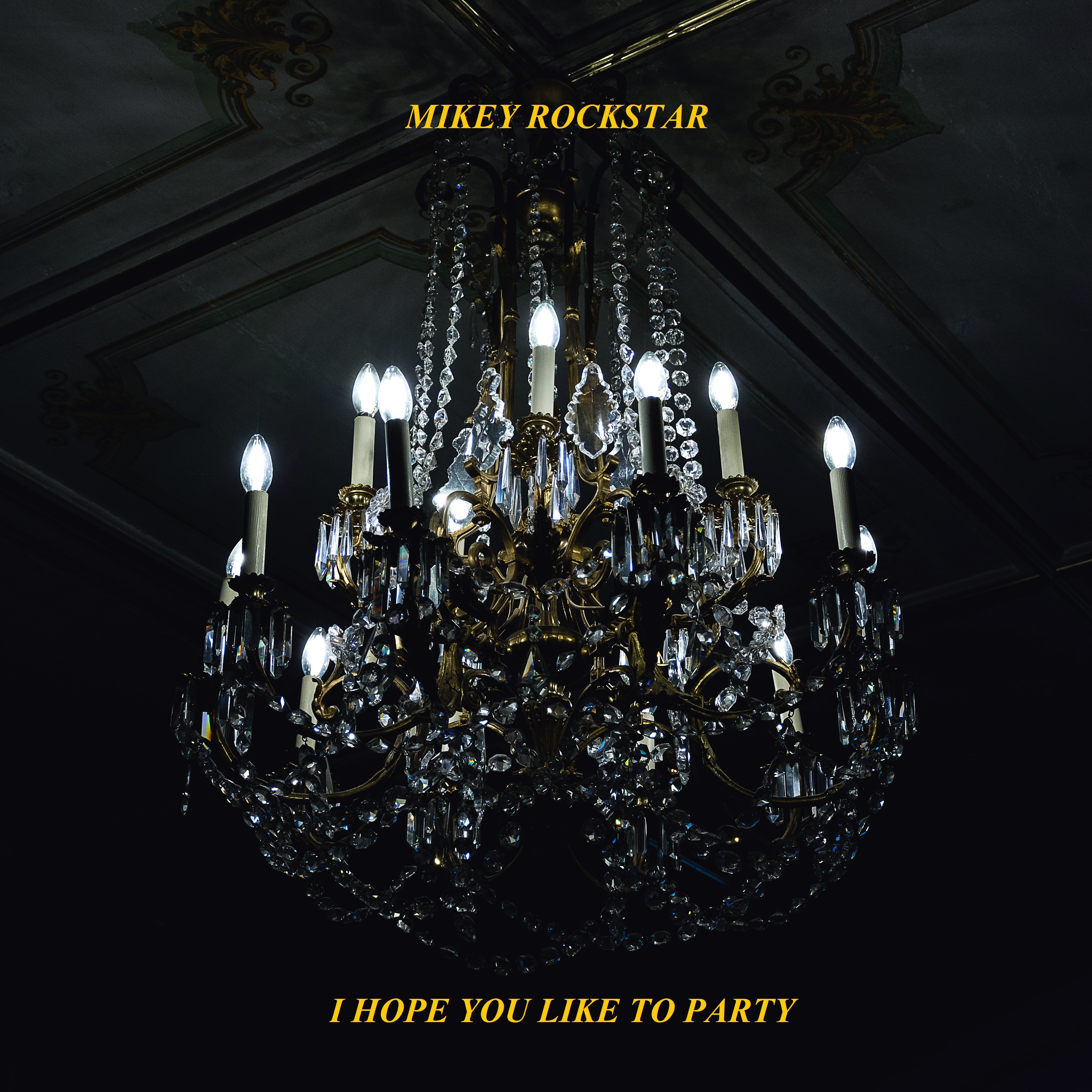 I Hope You Like To Party artwork