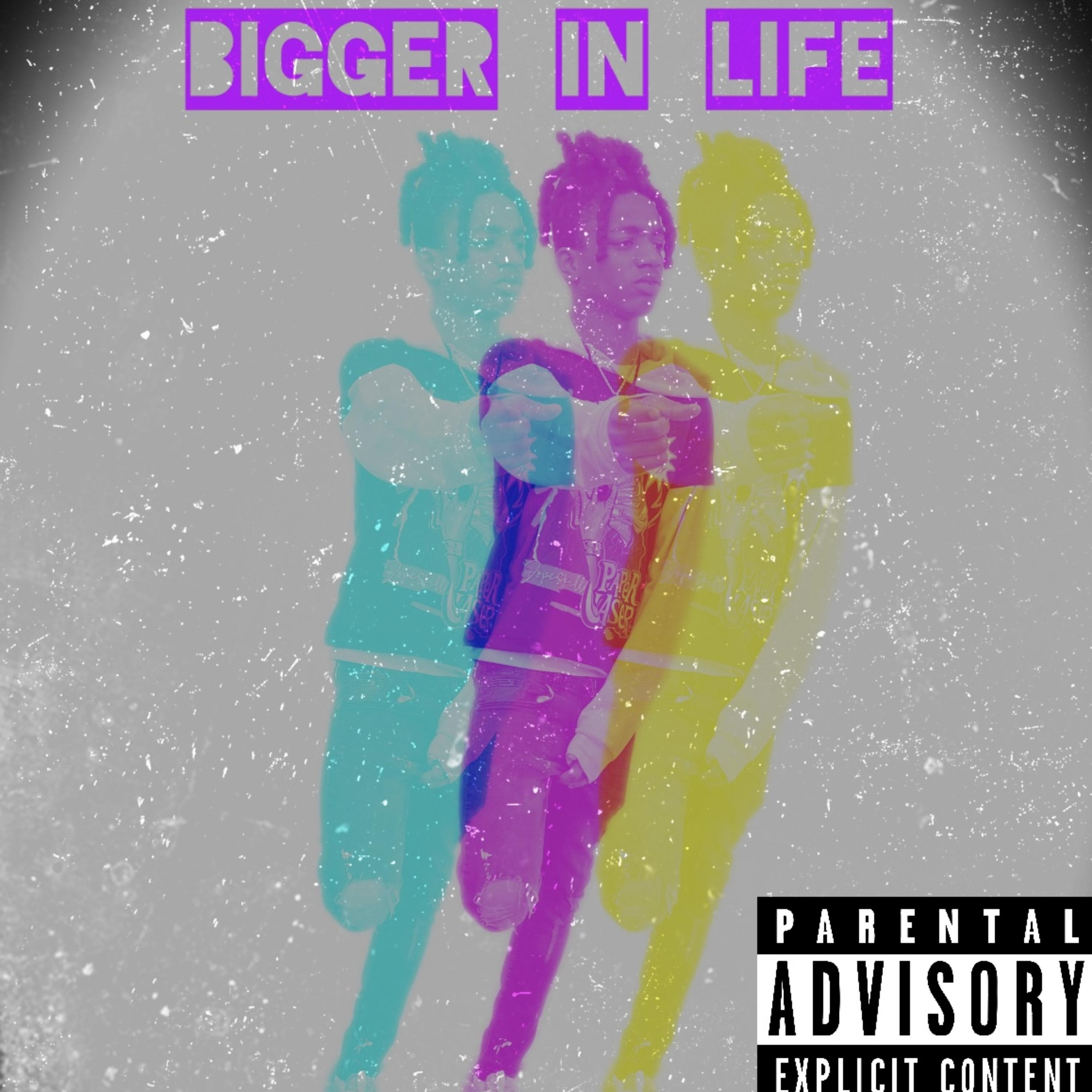 BIGGER IN LIFE artwork