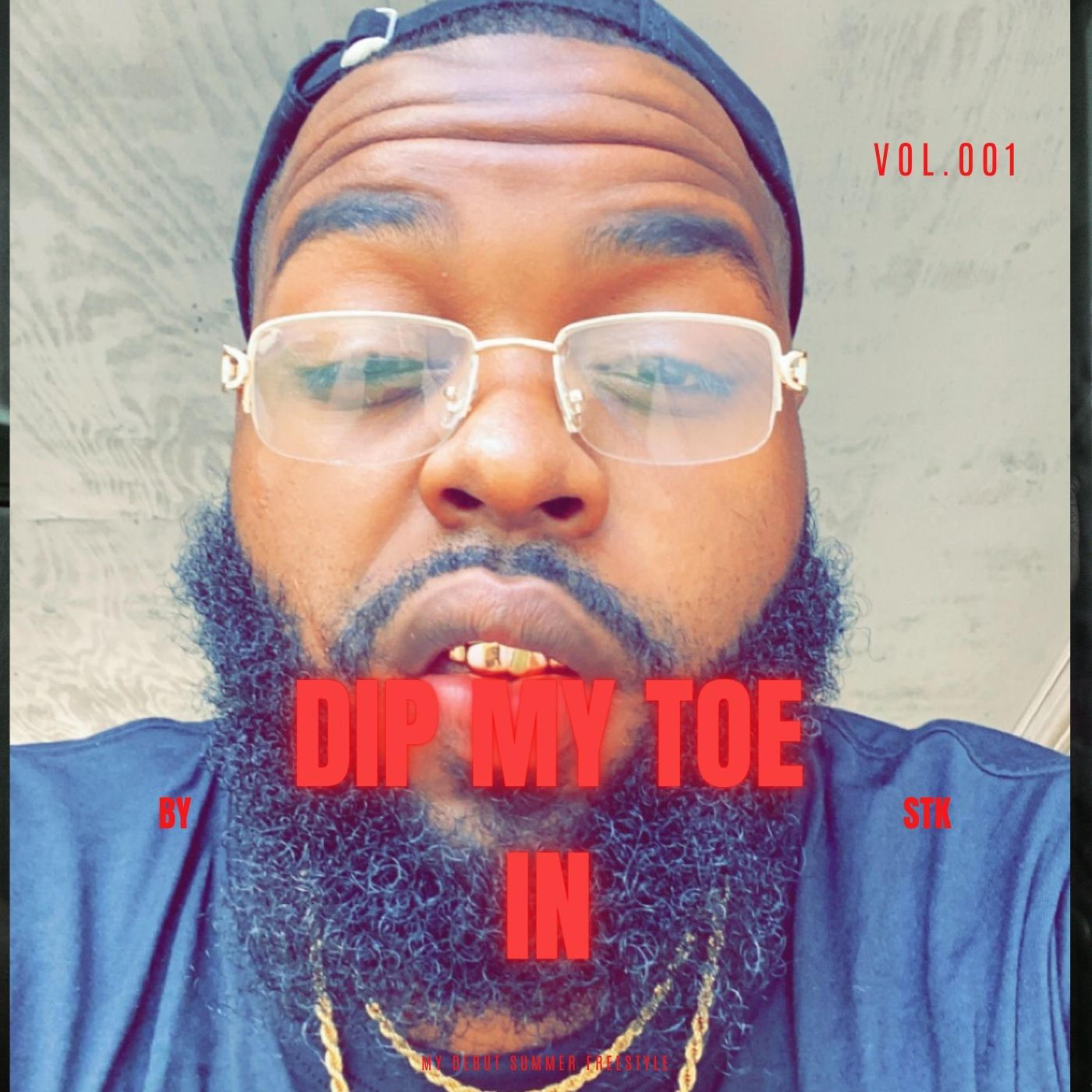 Dip My Toe In artwork