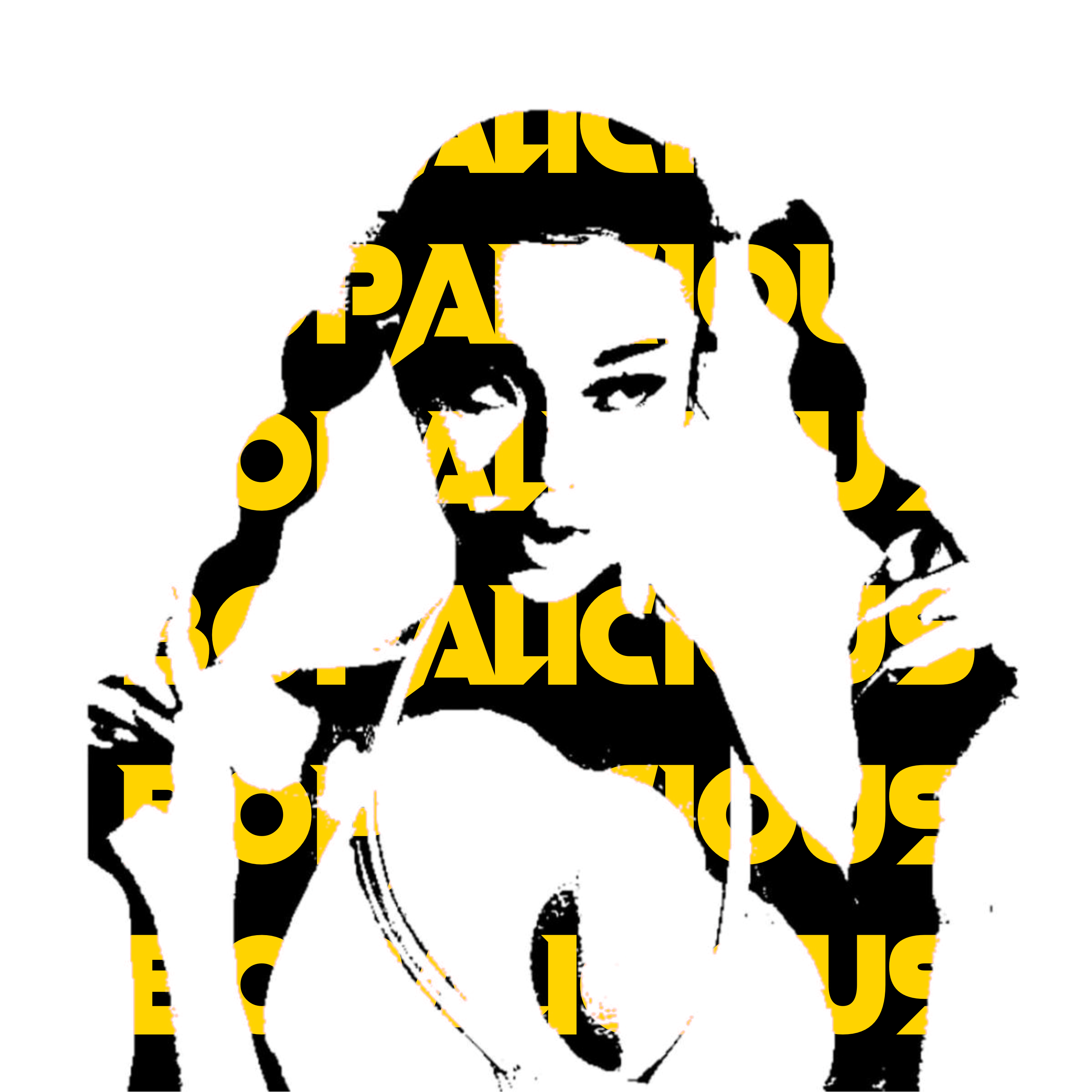 Bopalicious artwork