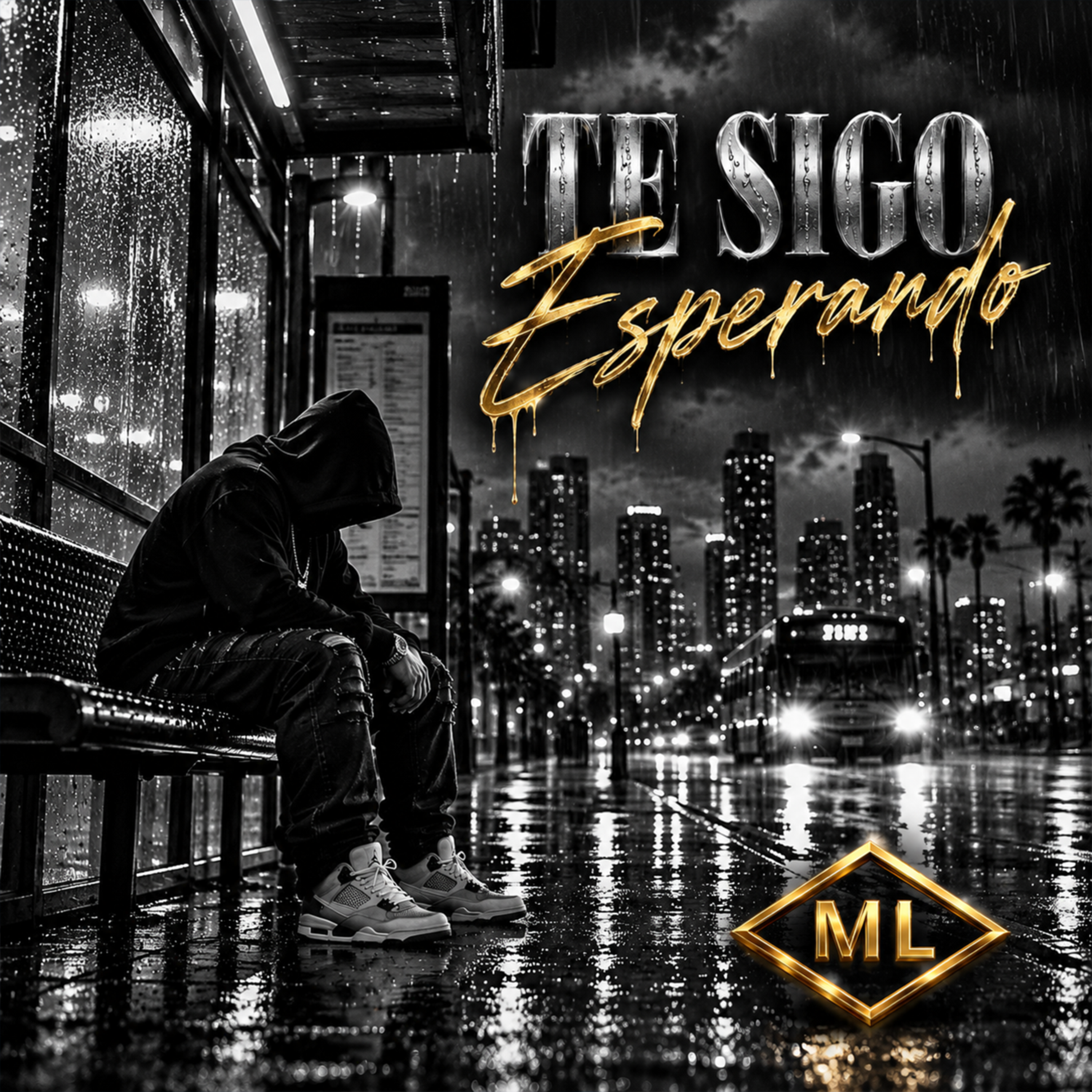 TE SIGO ESPERANDO by ML MUSIC DJ MO LYON cover art