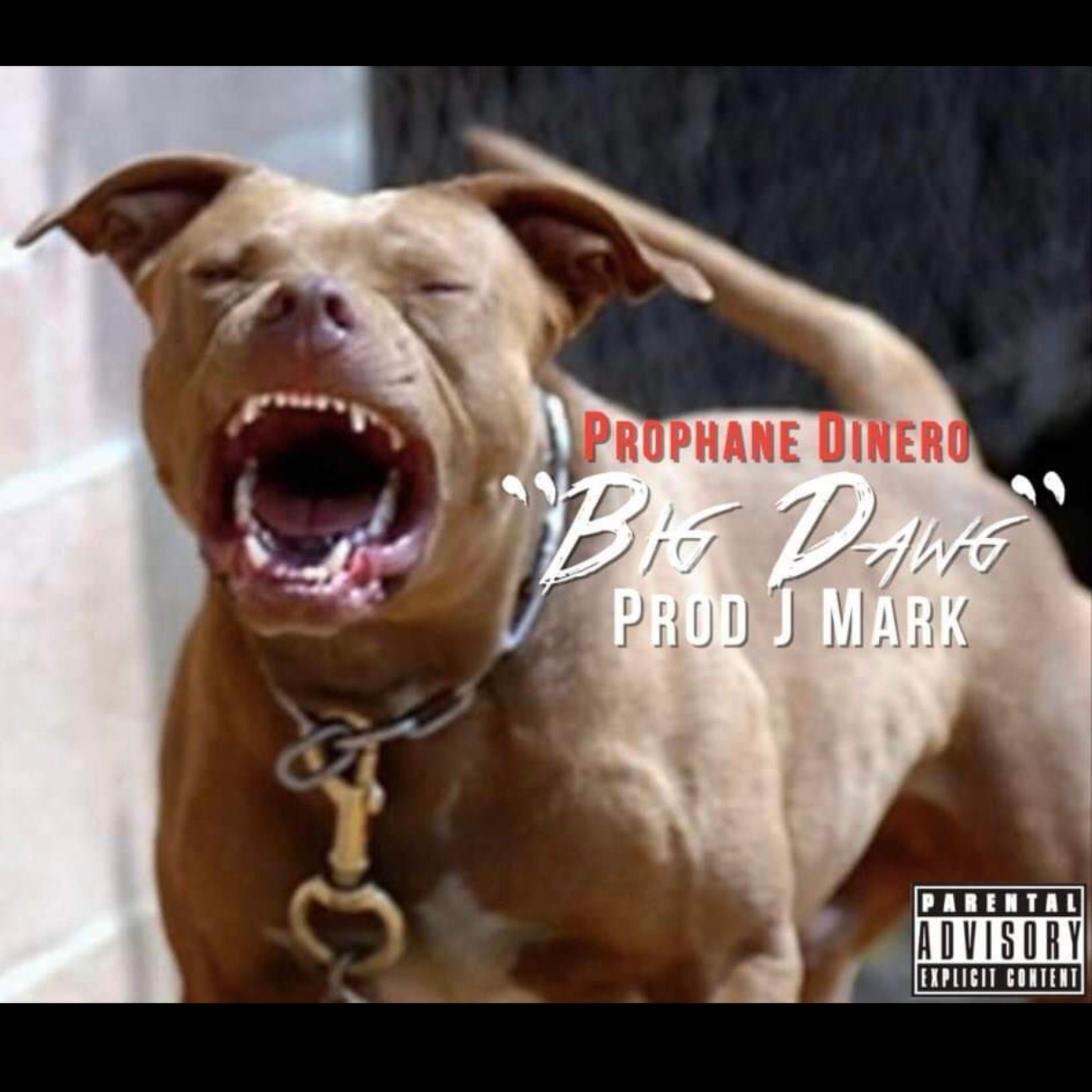 Big Dawg artwork