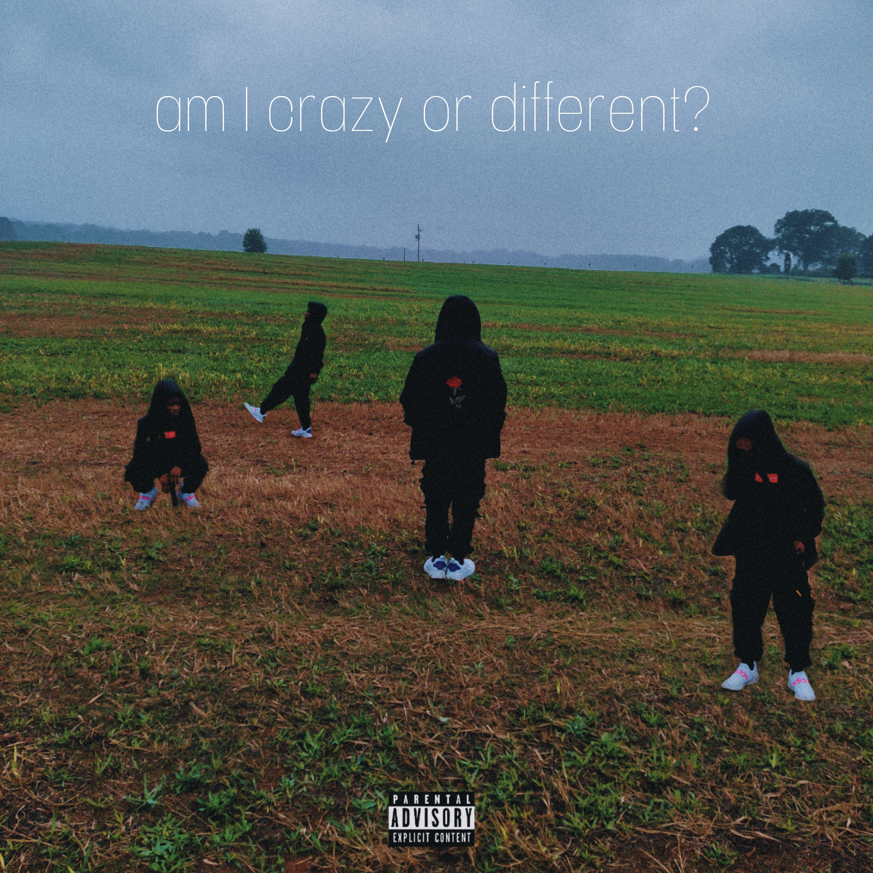 am I crazy or different? artwork