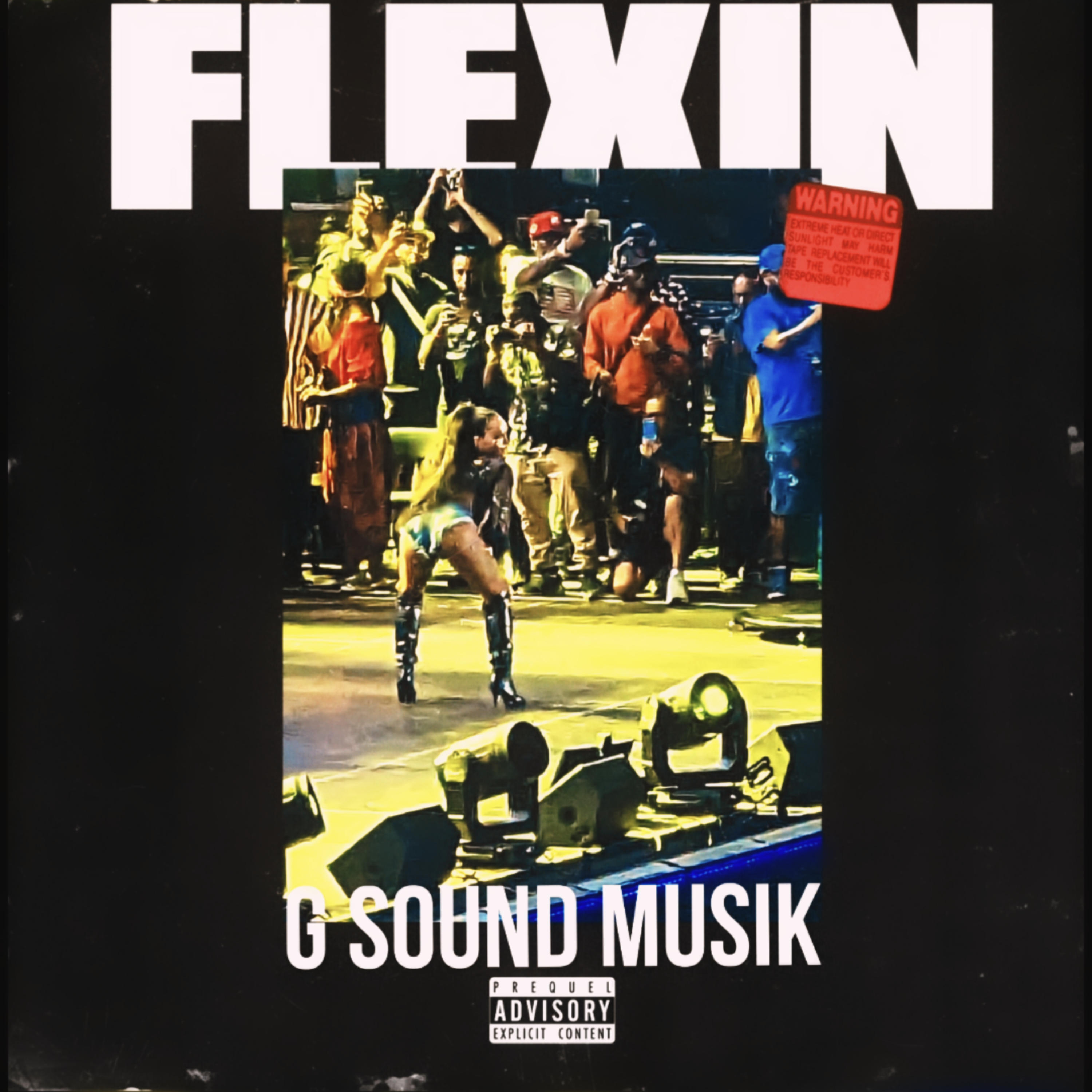 Flexin artwork