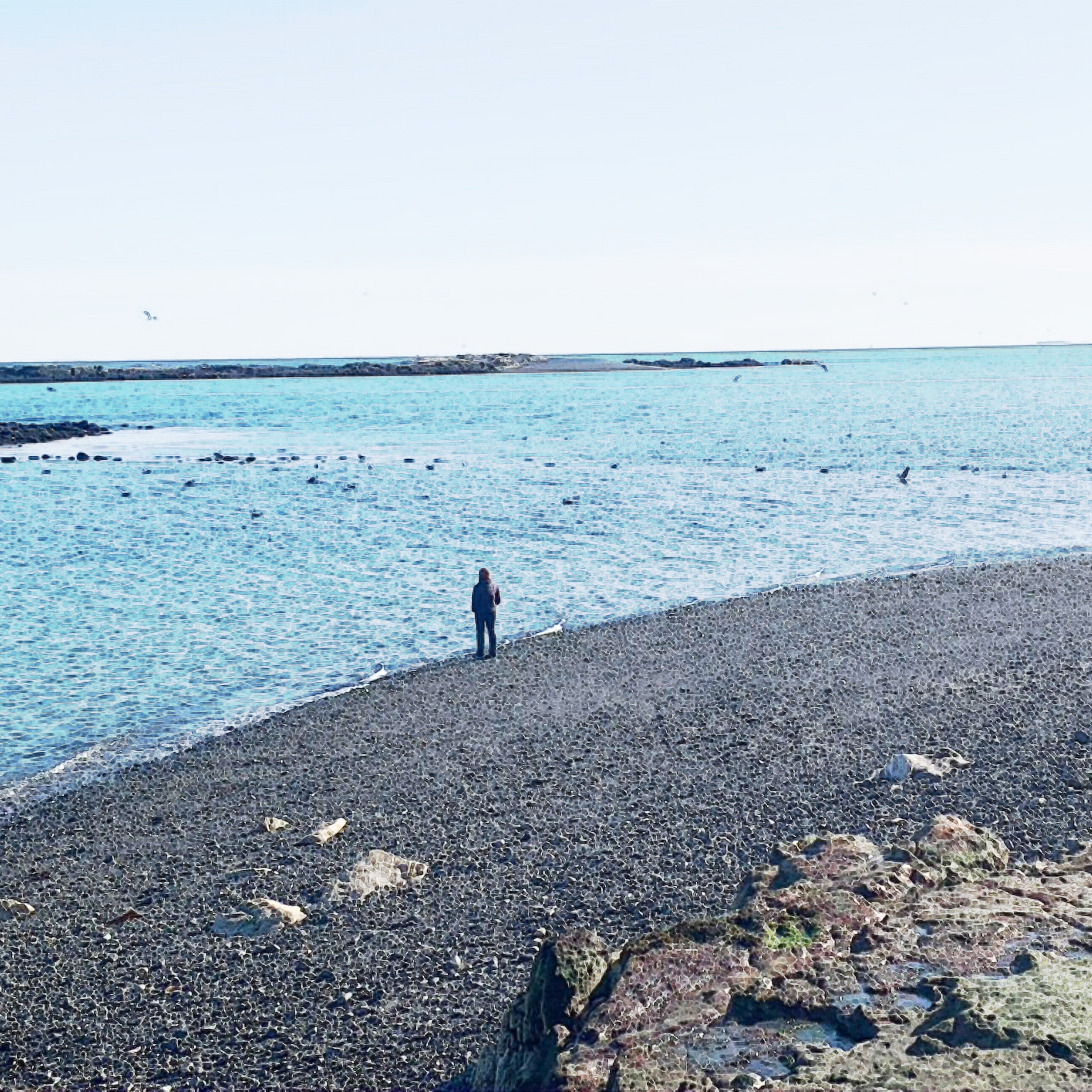 If only they knew artwork