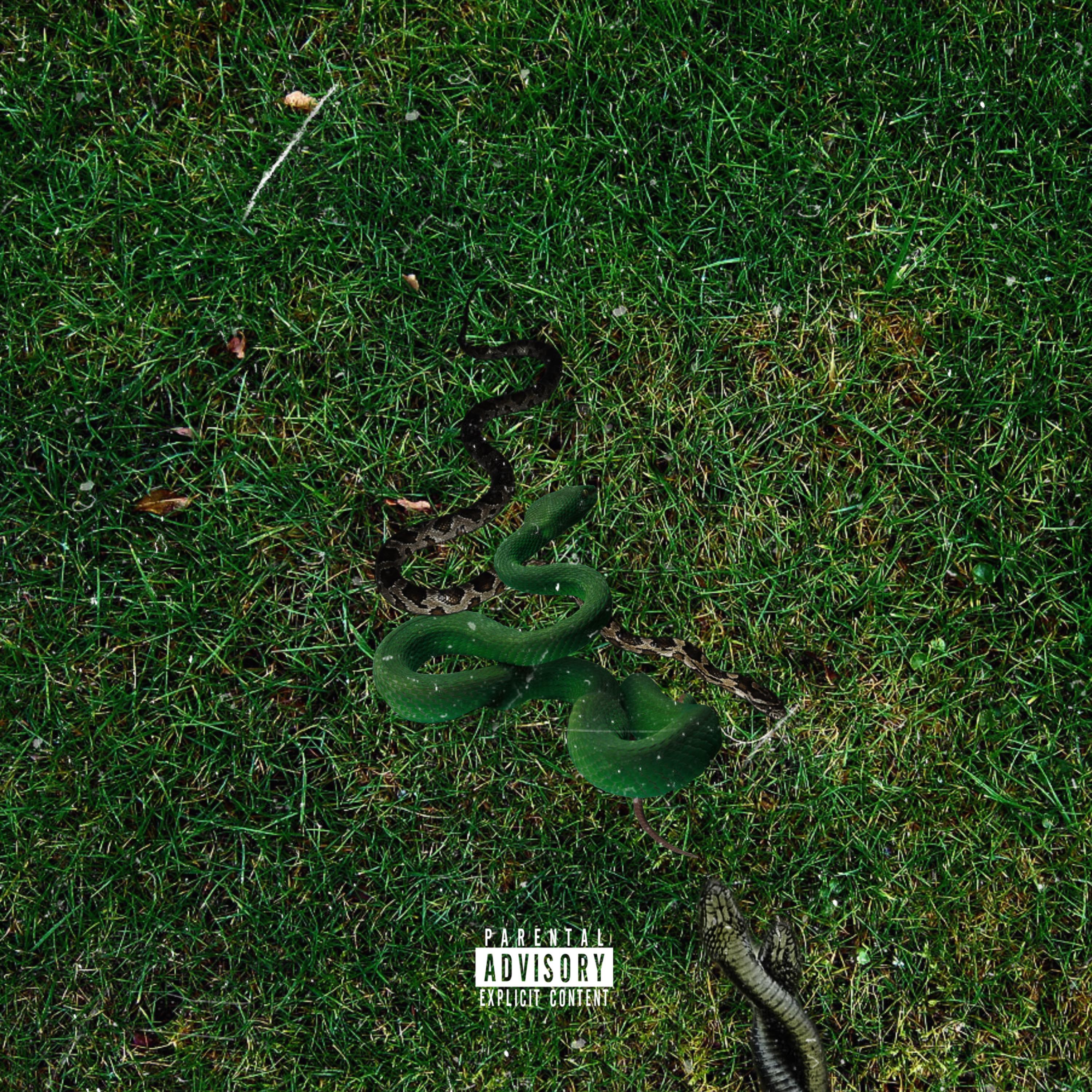 Collard Greens artwork