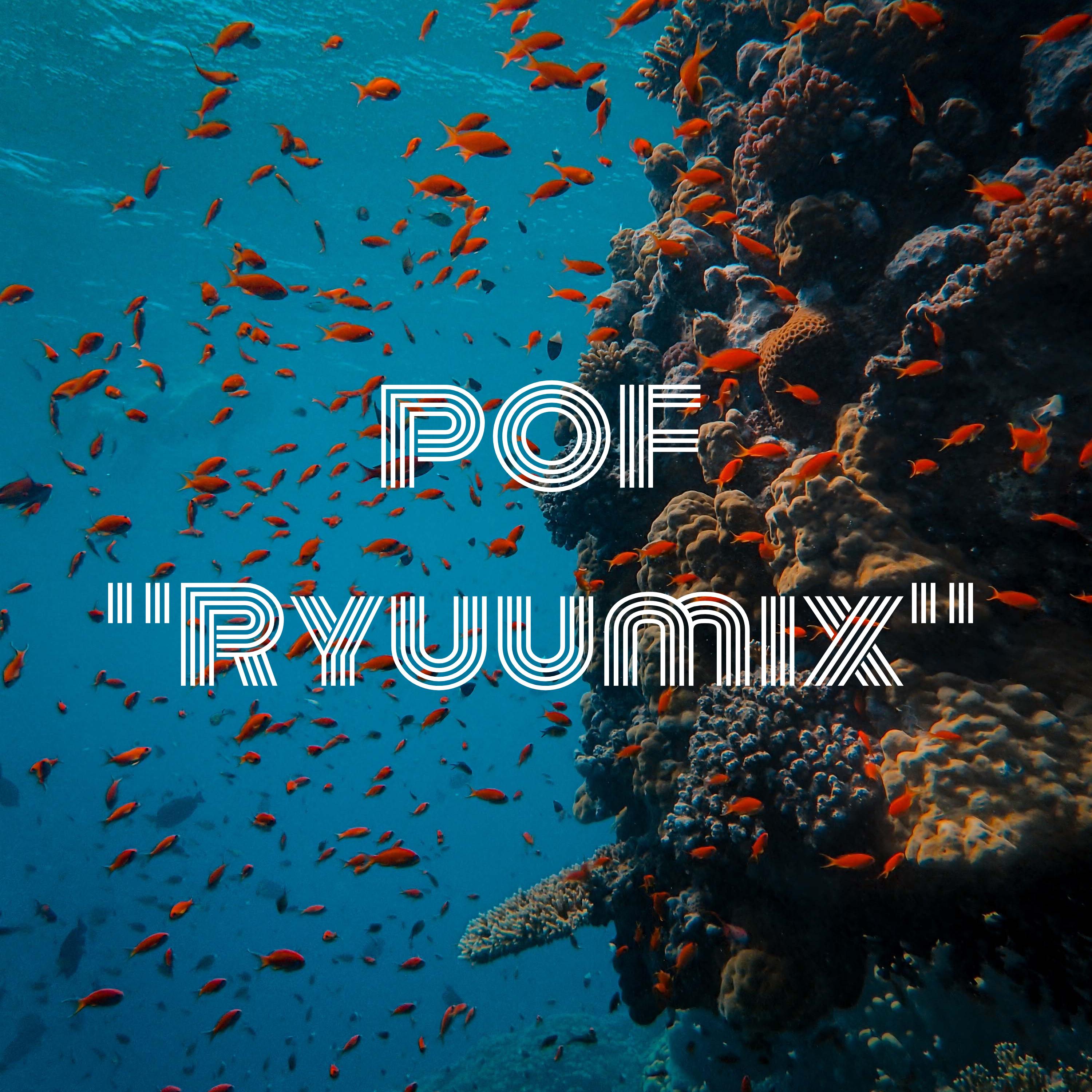POF Ryuumix artwork