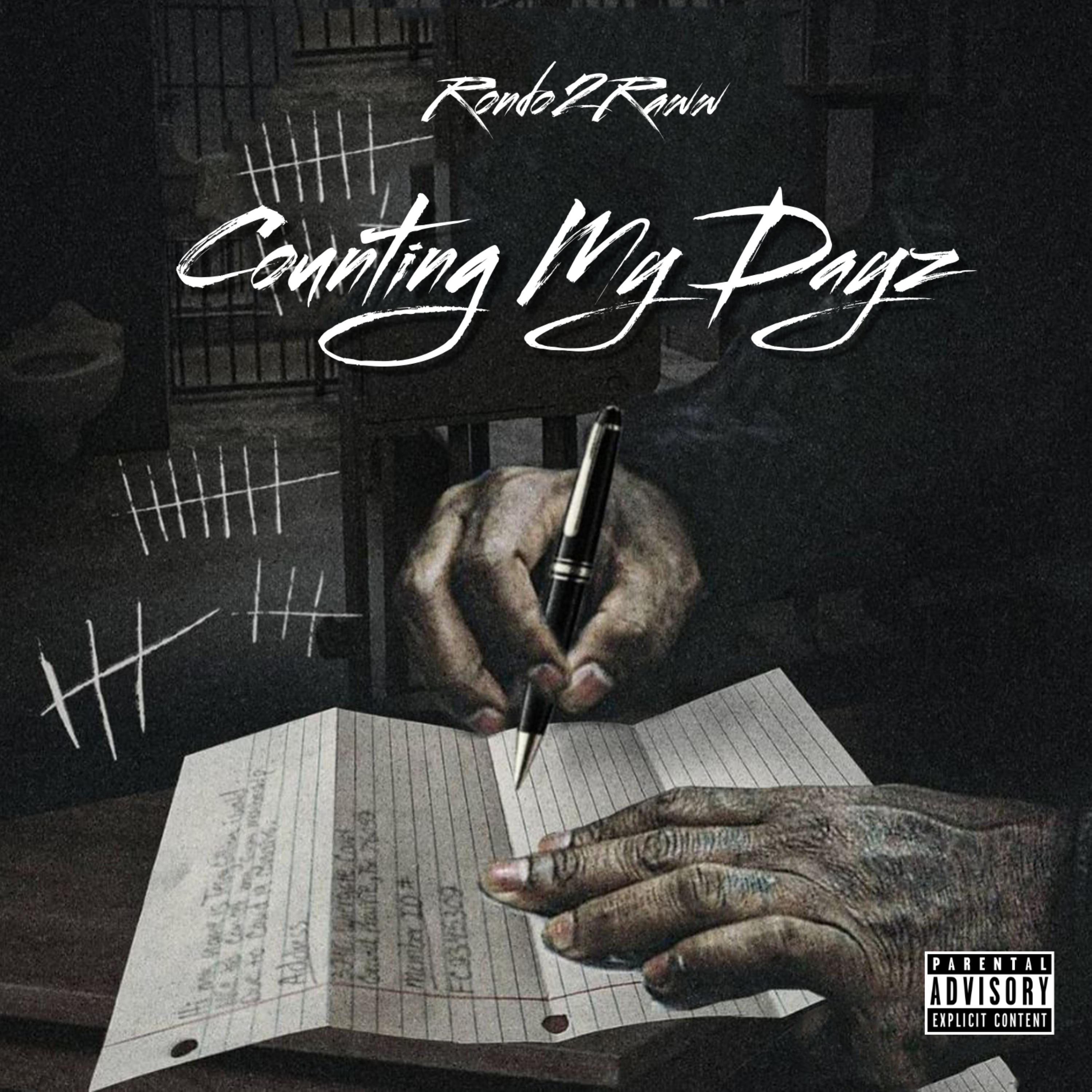 Counting My Dayz artwork