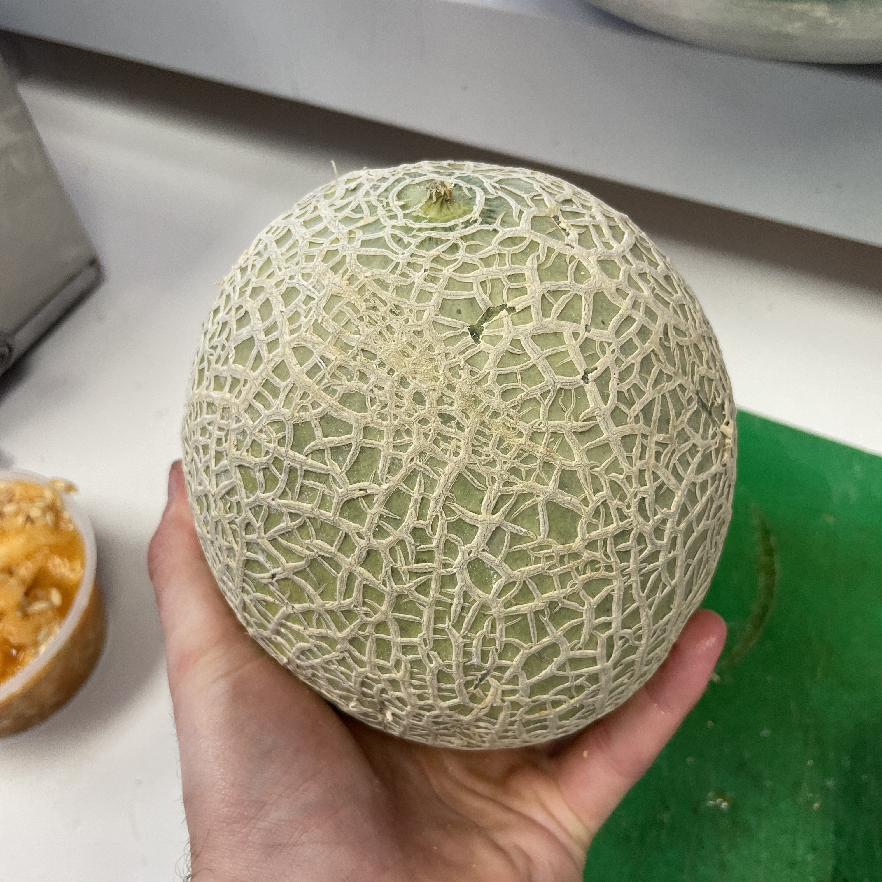 Zoboomafoo & Chill artwork