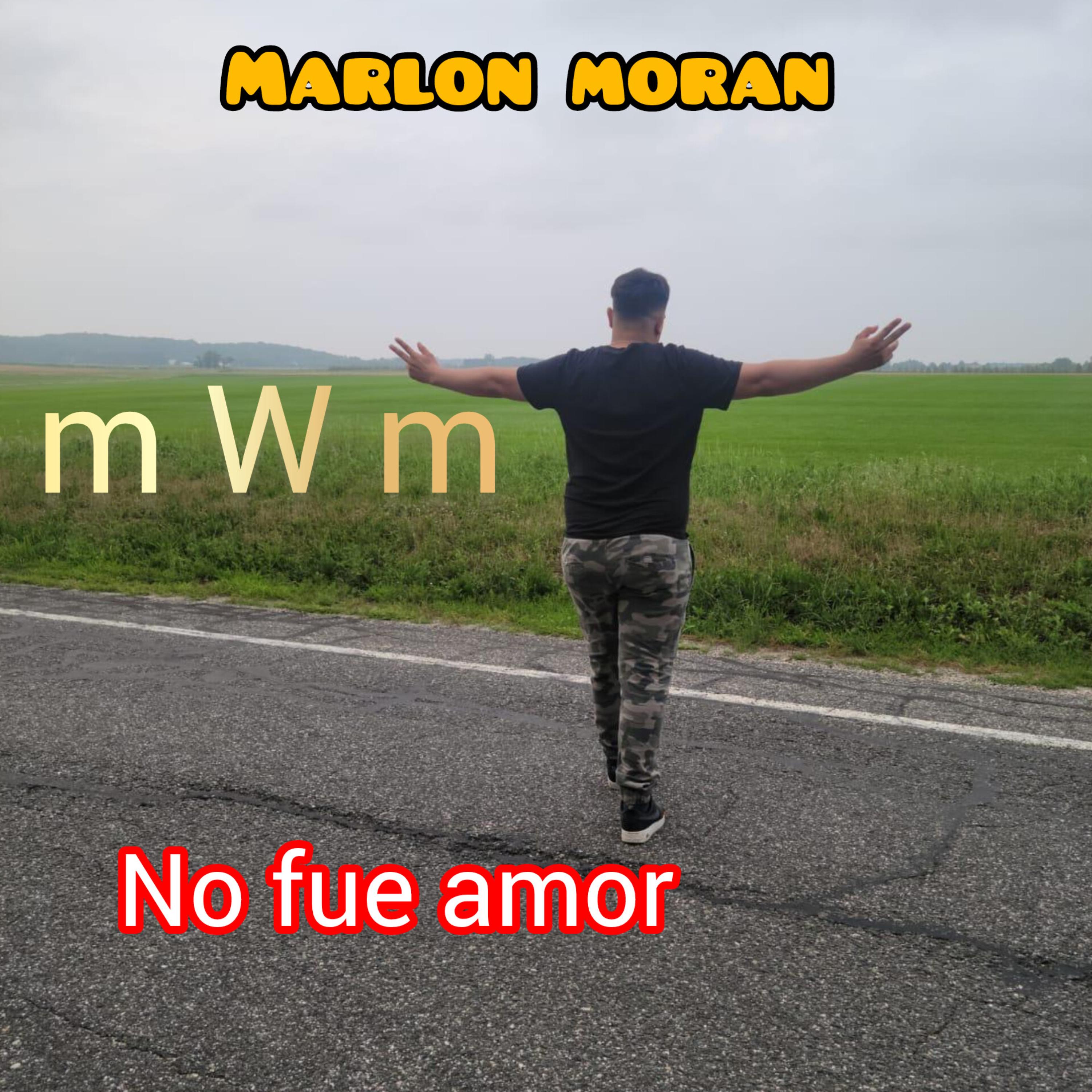 no fue amor artwork