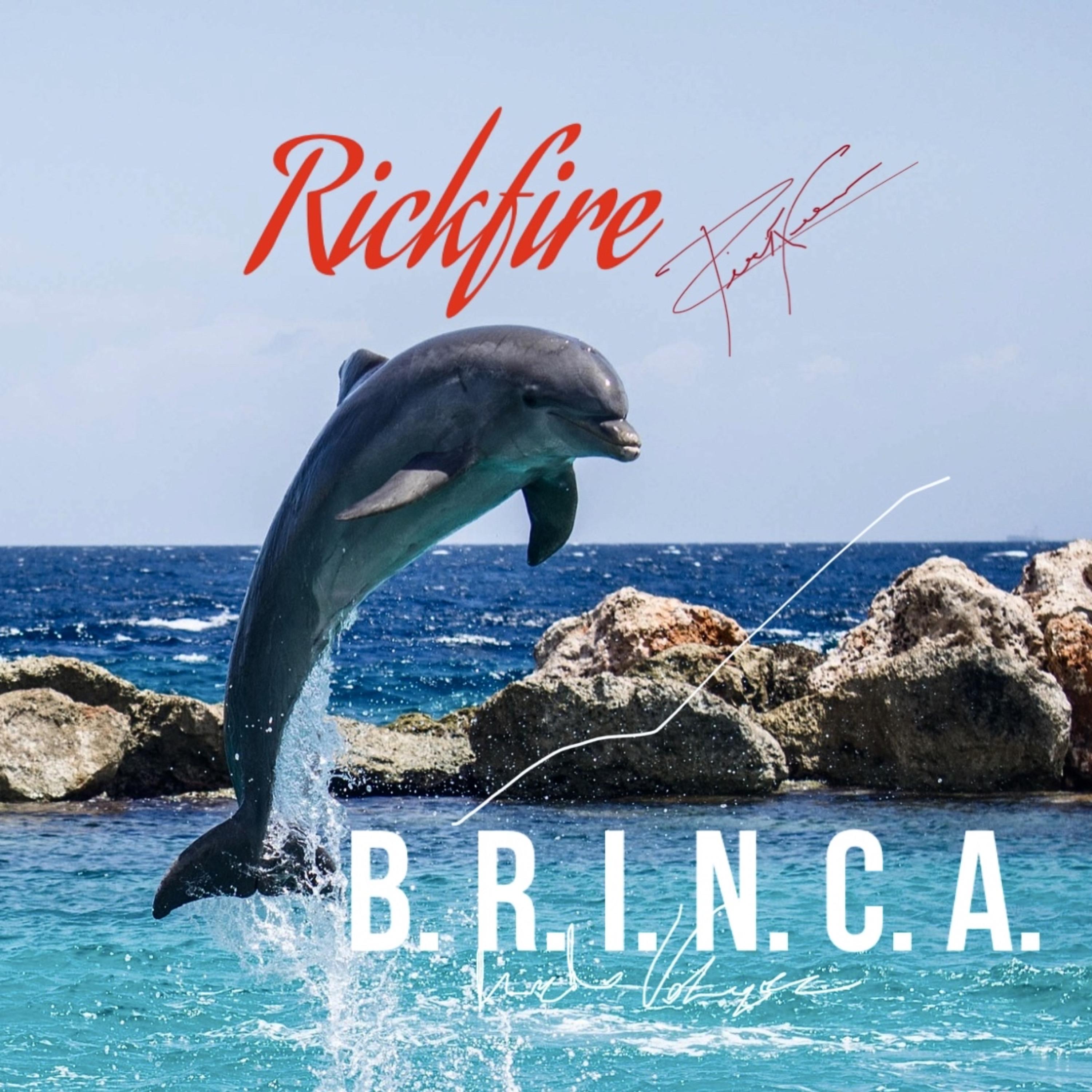 Brinca artwork