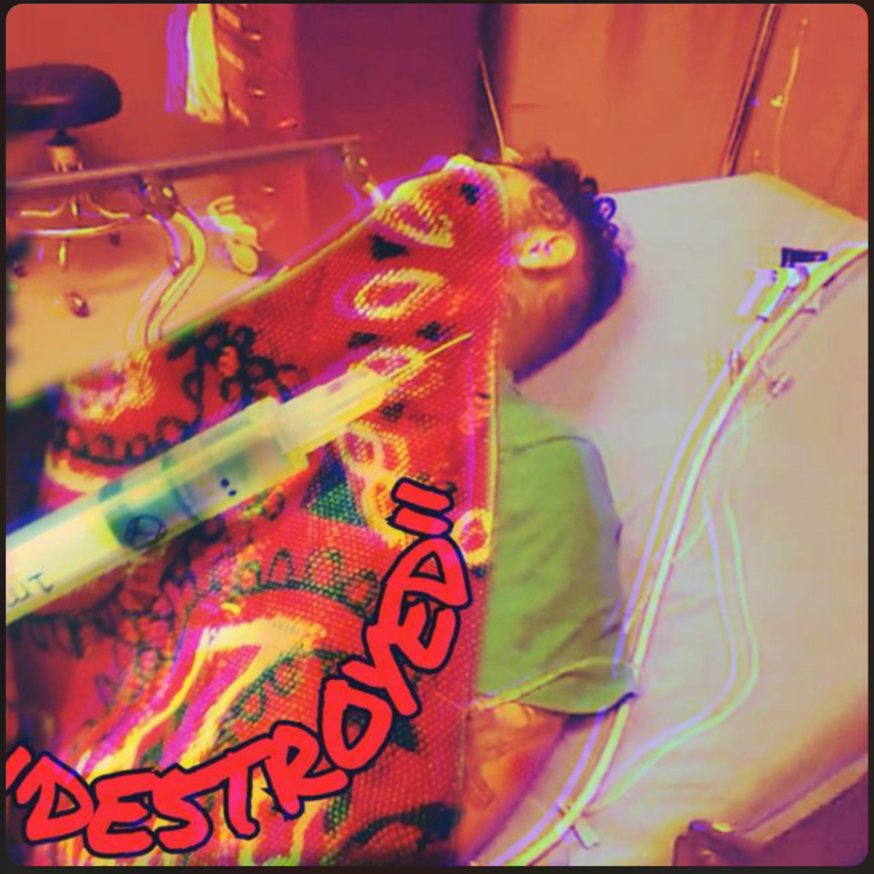 DE$TROYED artwork