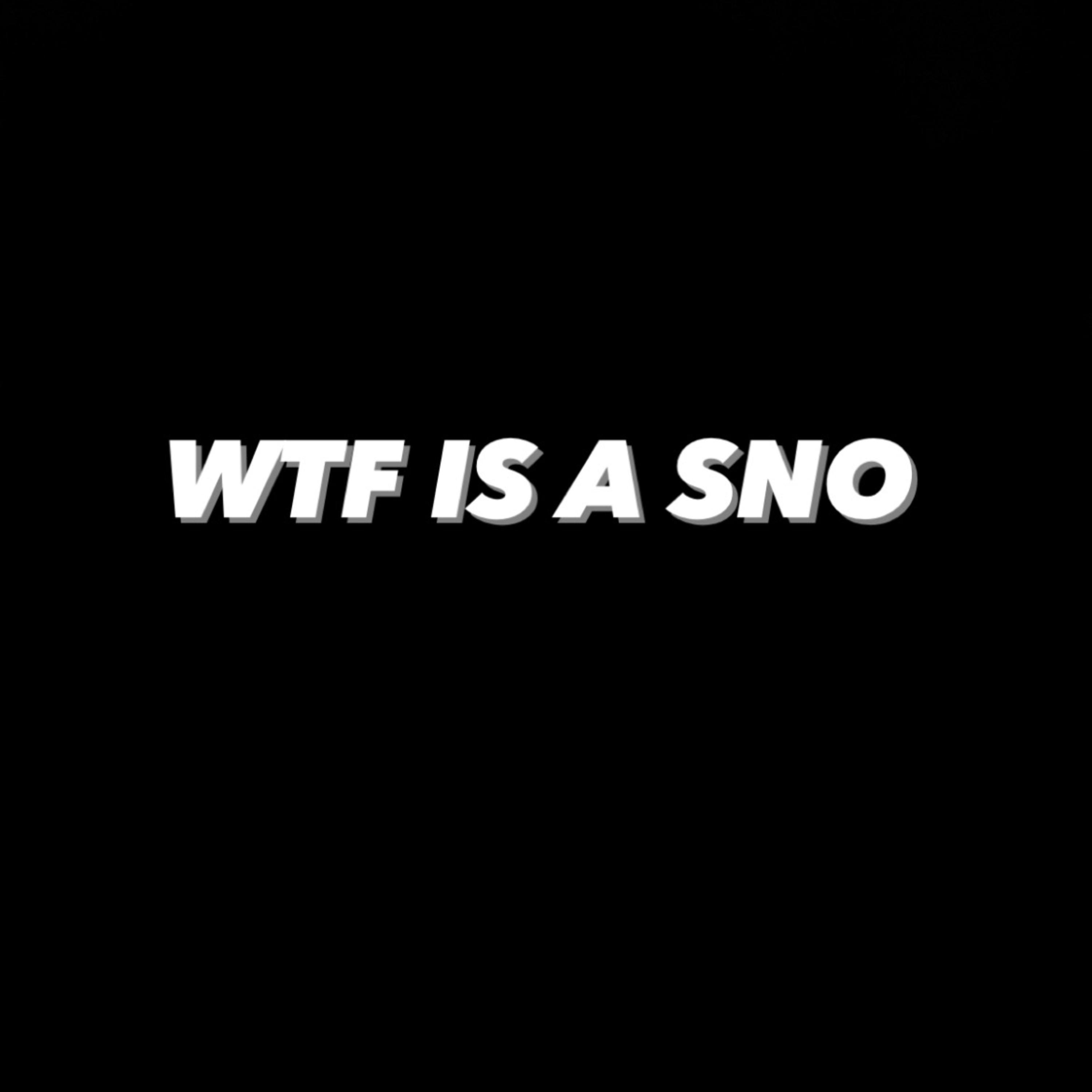 WTF IS A SNO artwork