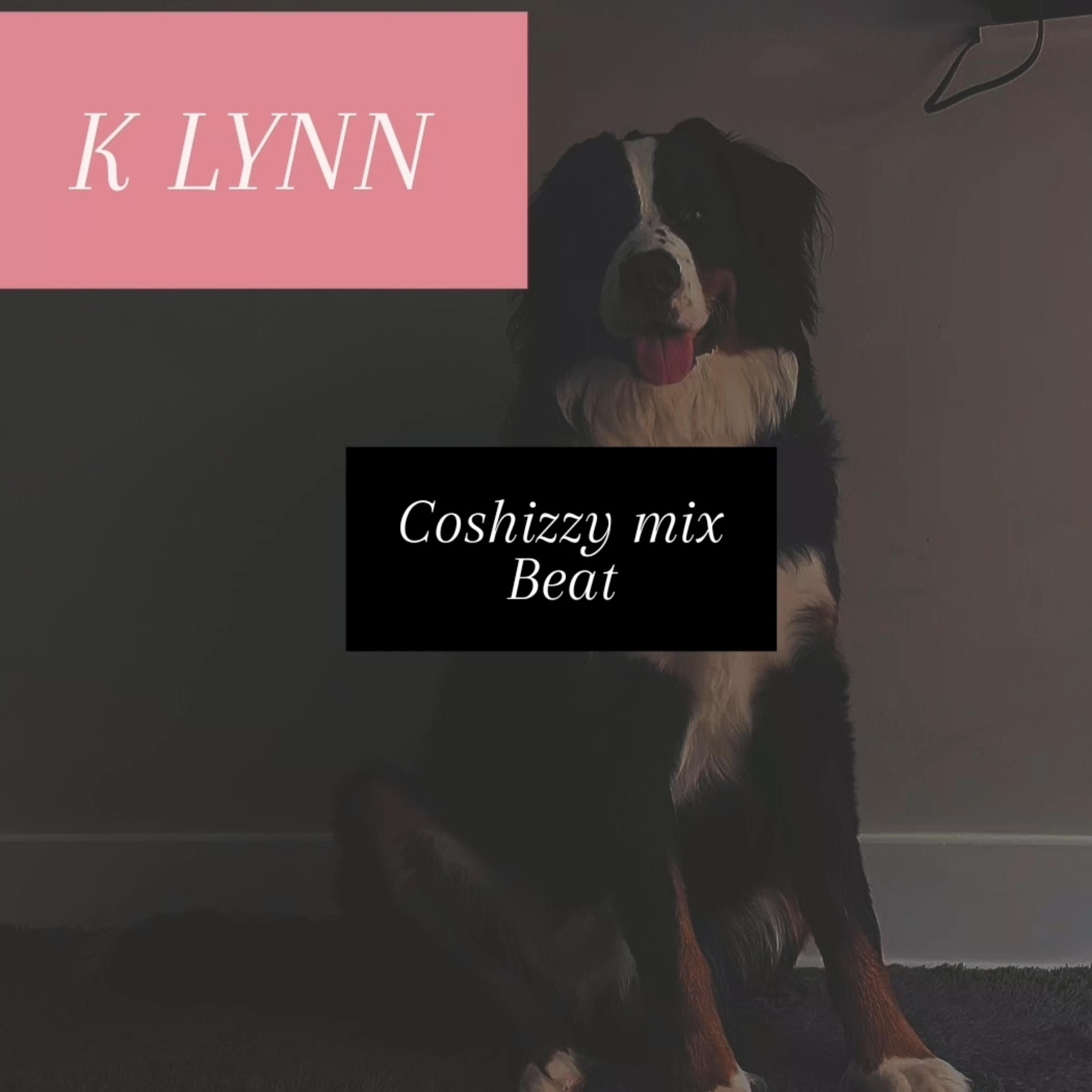 JUST VIBE WITH ME KATELYNN by coshizzy cover art