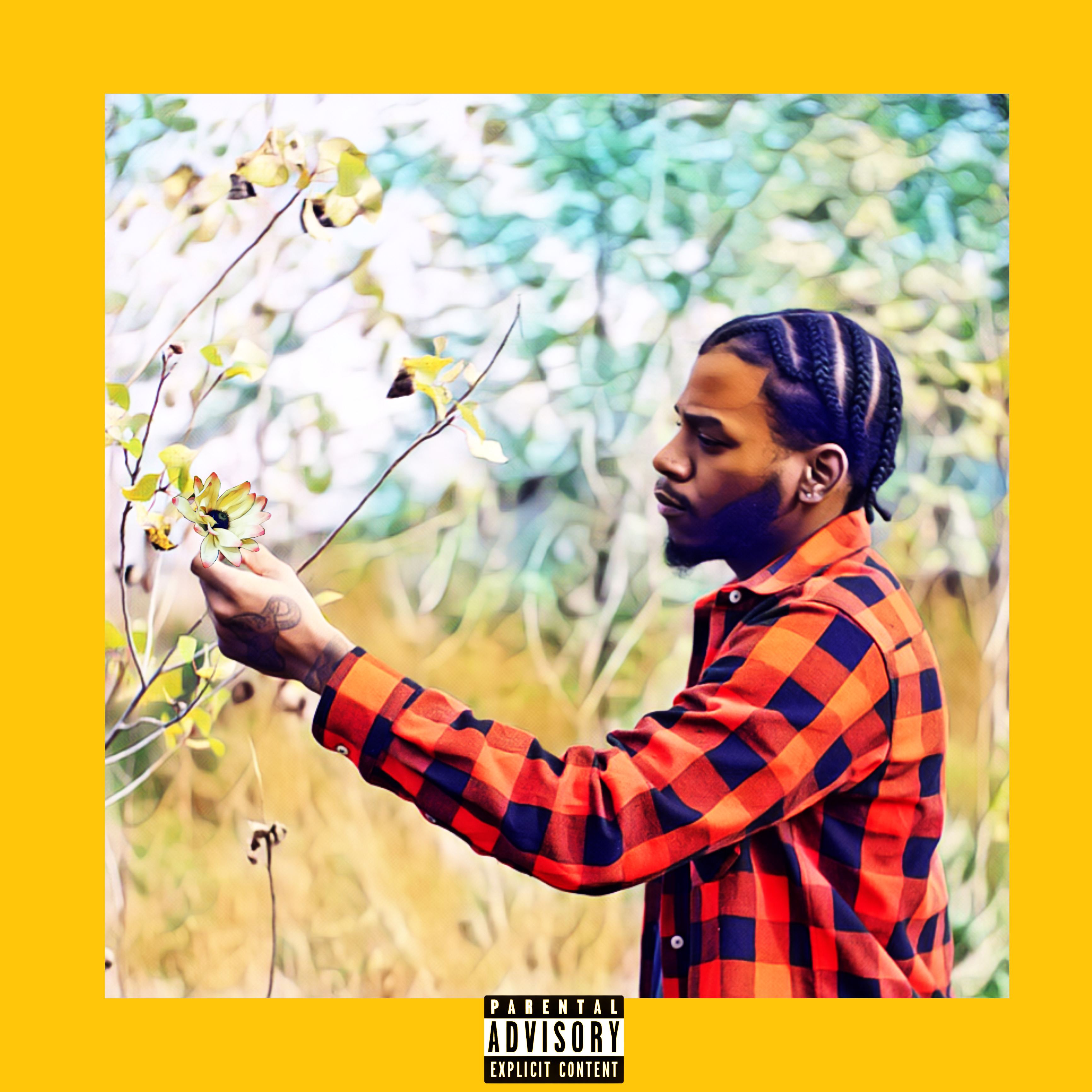 Late Bloomer artwork