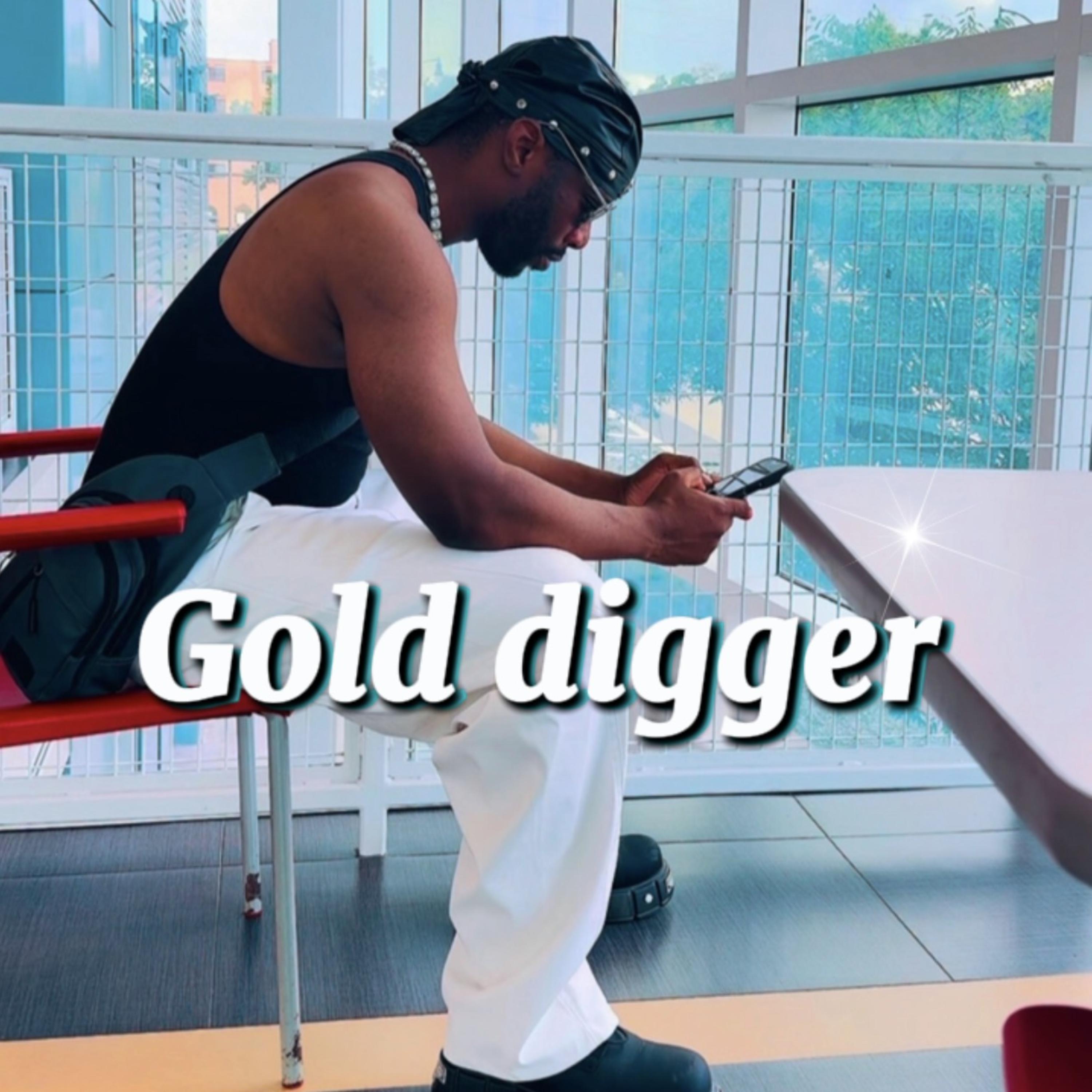 Gold Digger by 9idro cover art