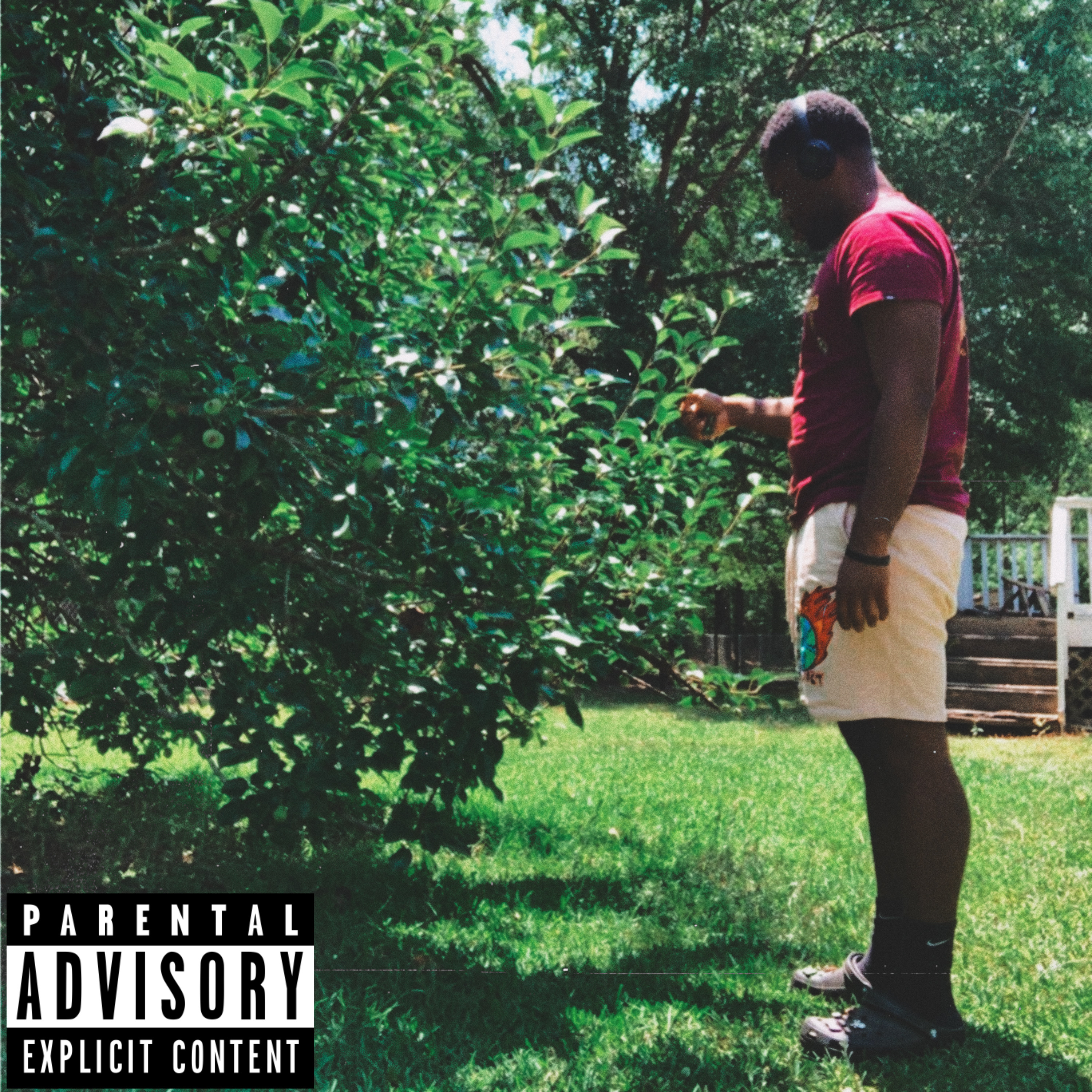 V.I.P (Vibe In Private) artwork