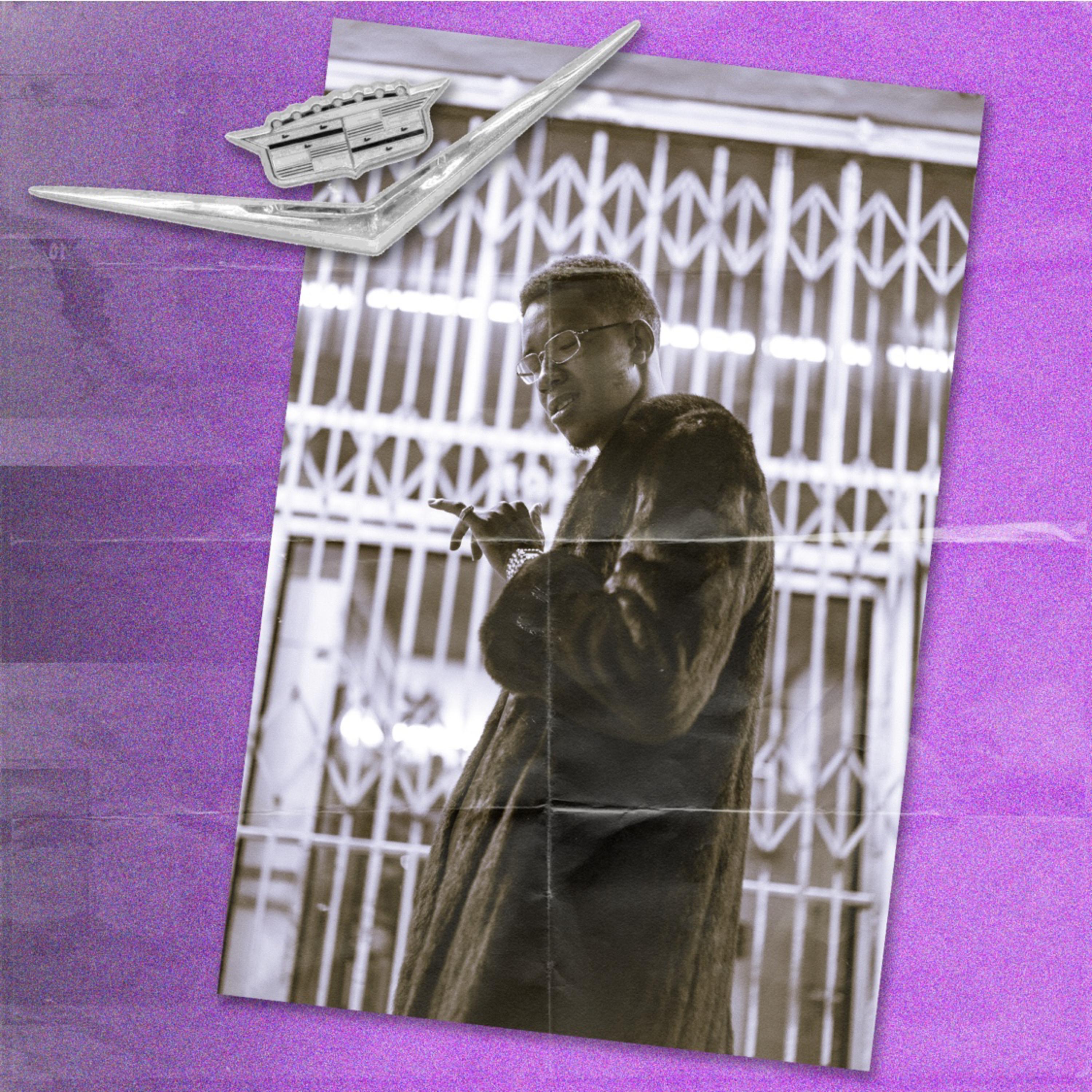 Pimpin Into Perspective artwork
