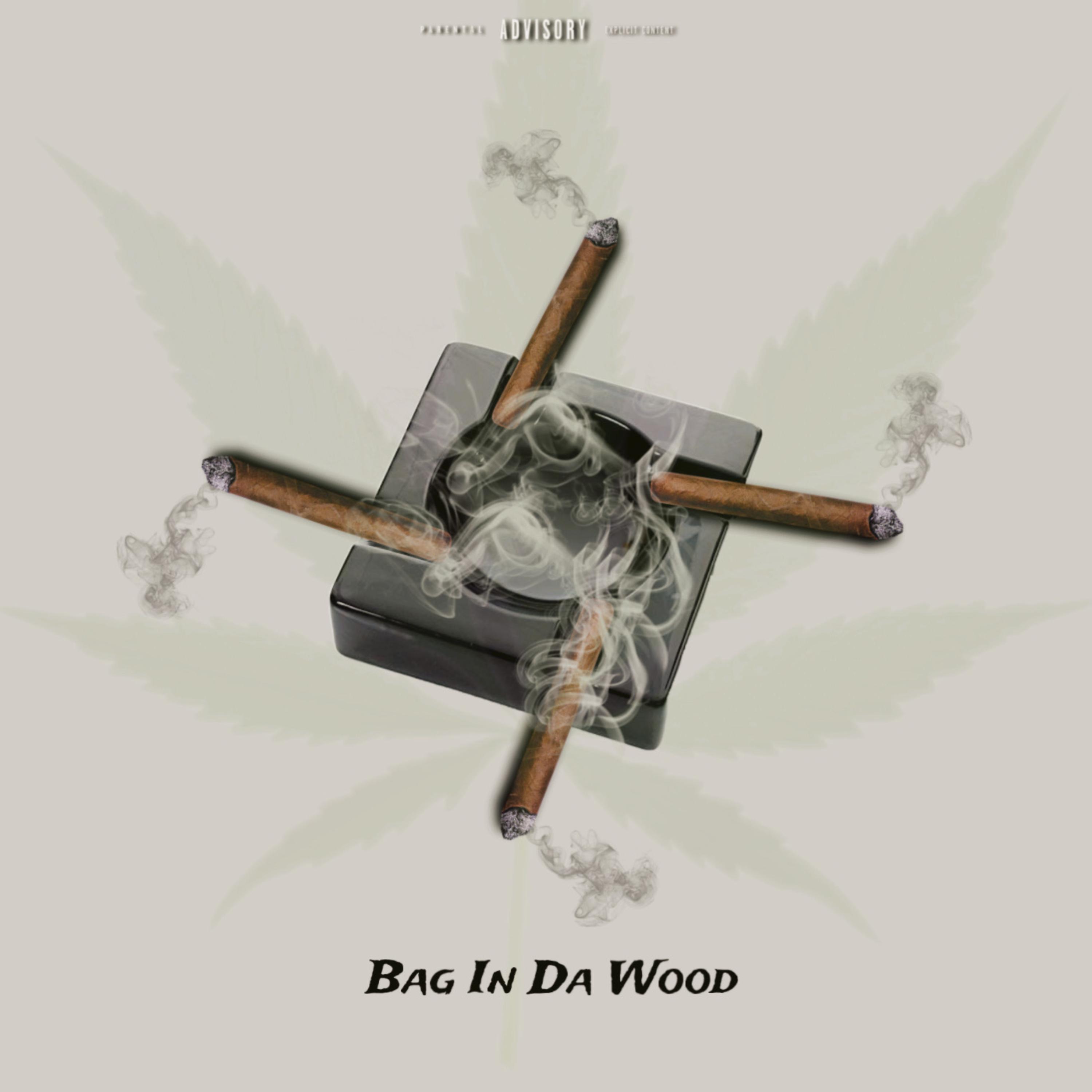 BAG In DA WOOD artwork