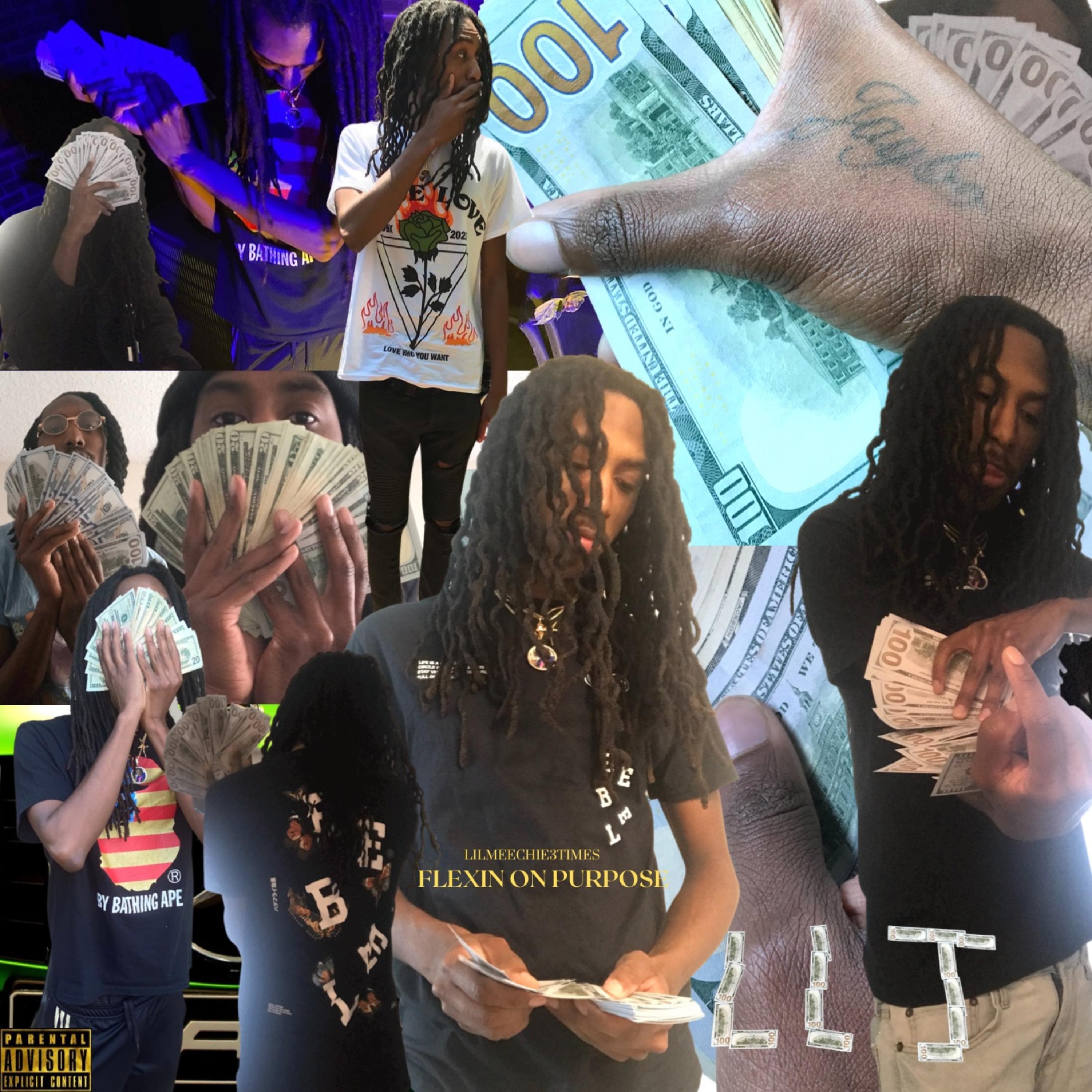 Flexin On Purpose artwork