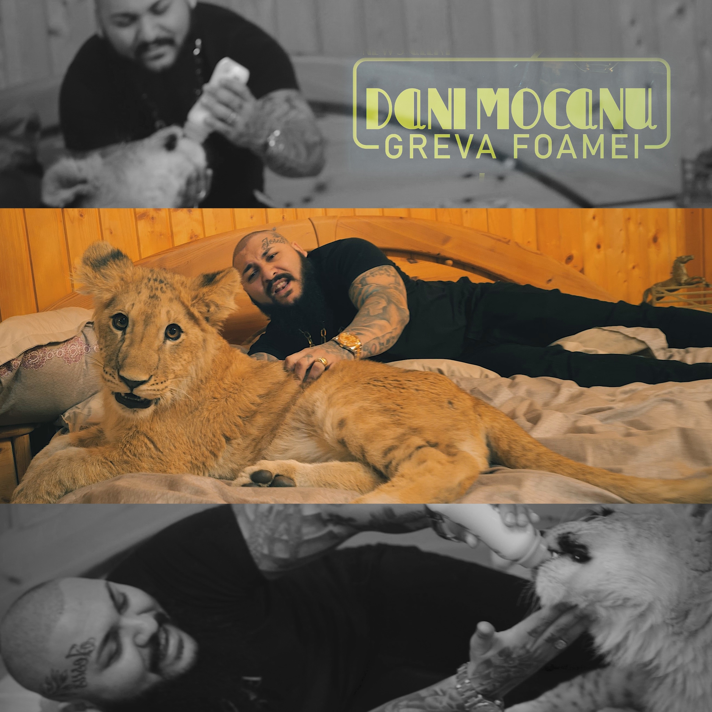 Greva foamei artwork