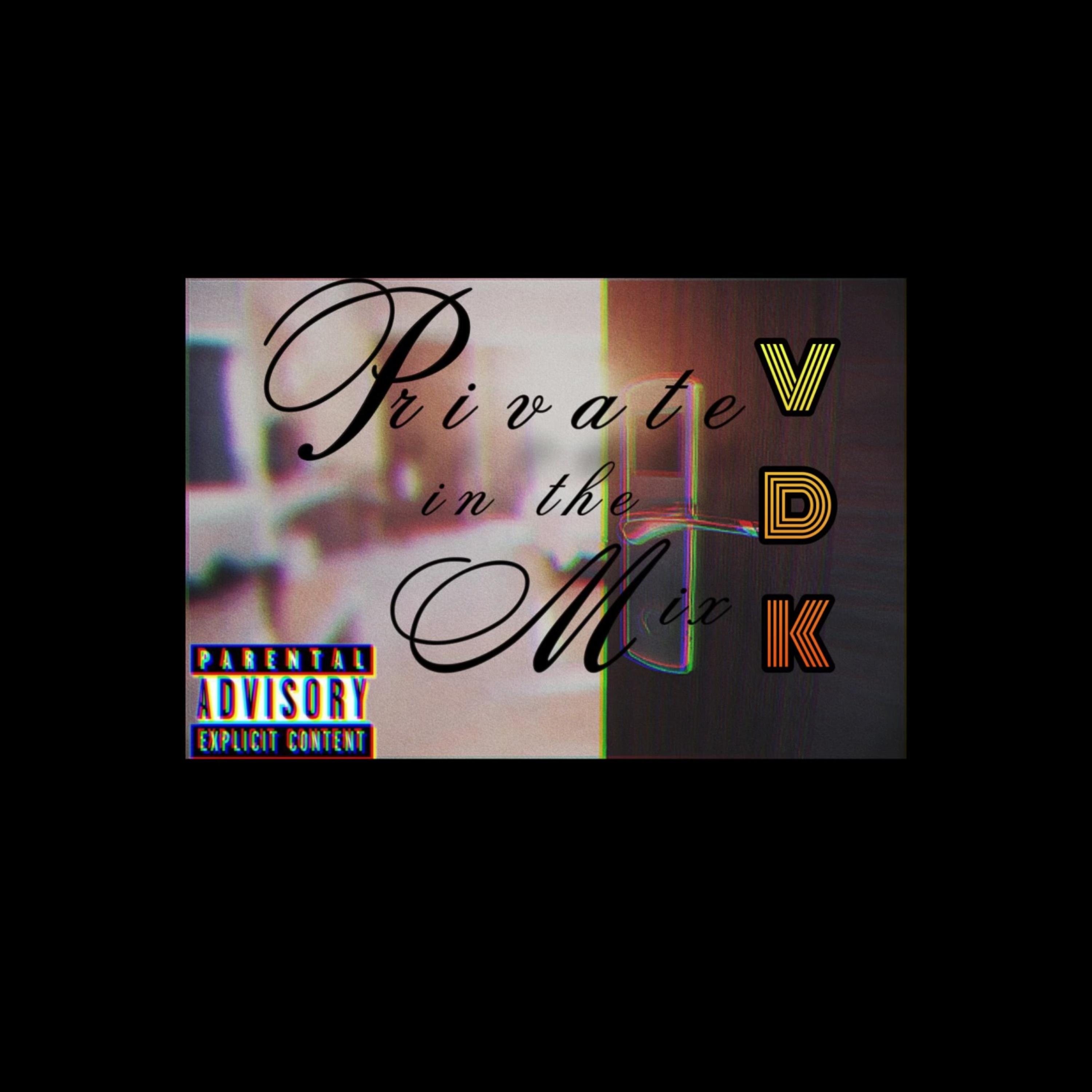 Private In The Mix artwork