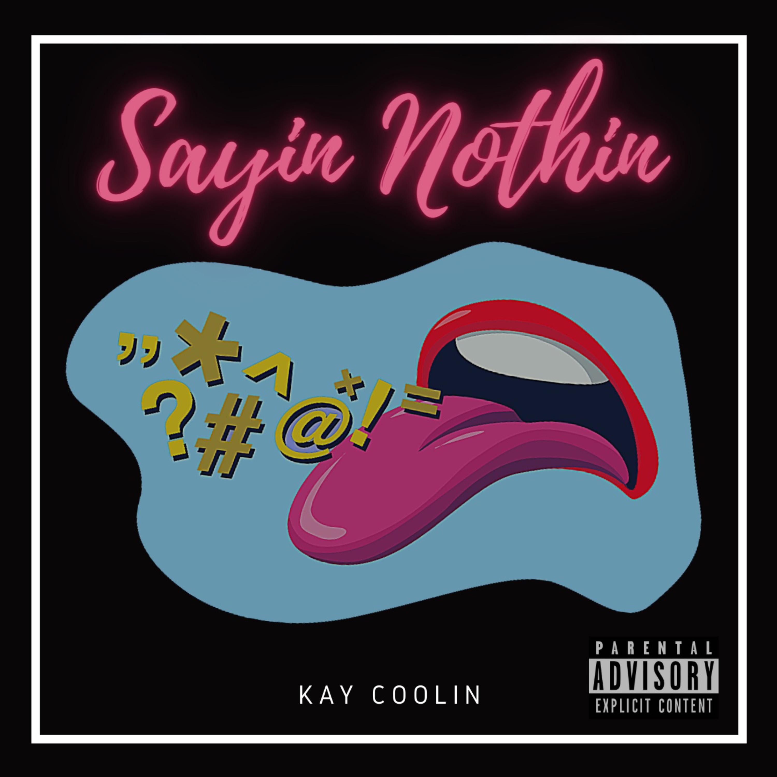 Sayin Nothin artwork