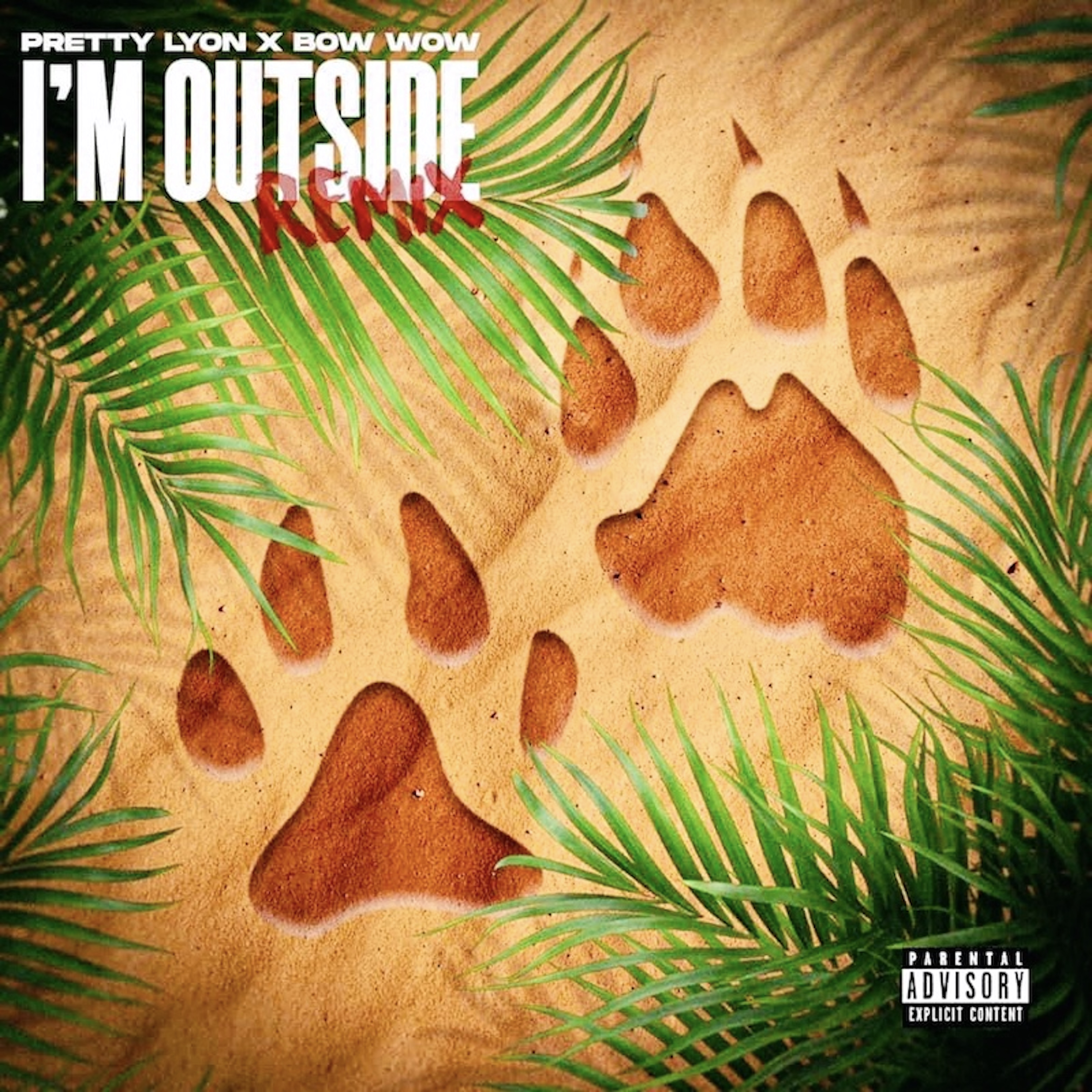 Im Outside (Remix) artwork