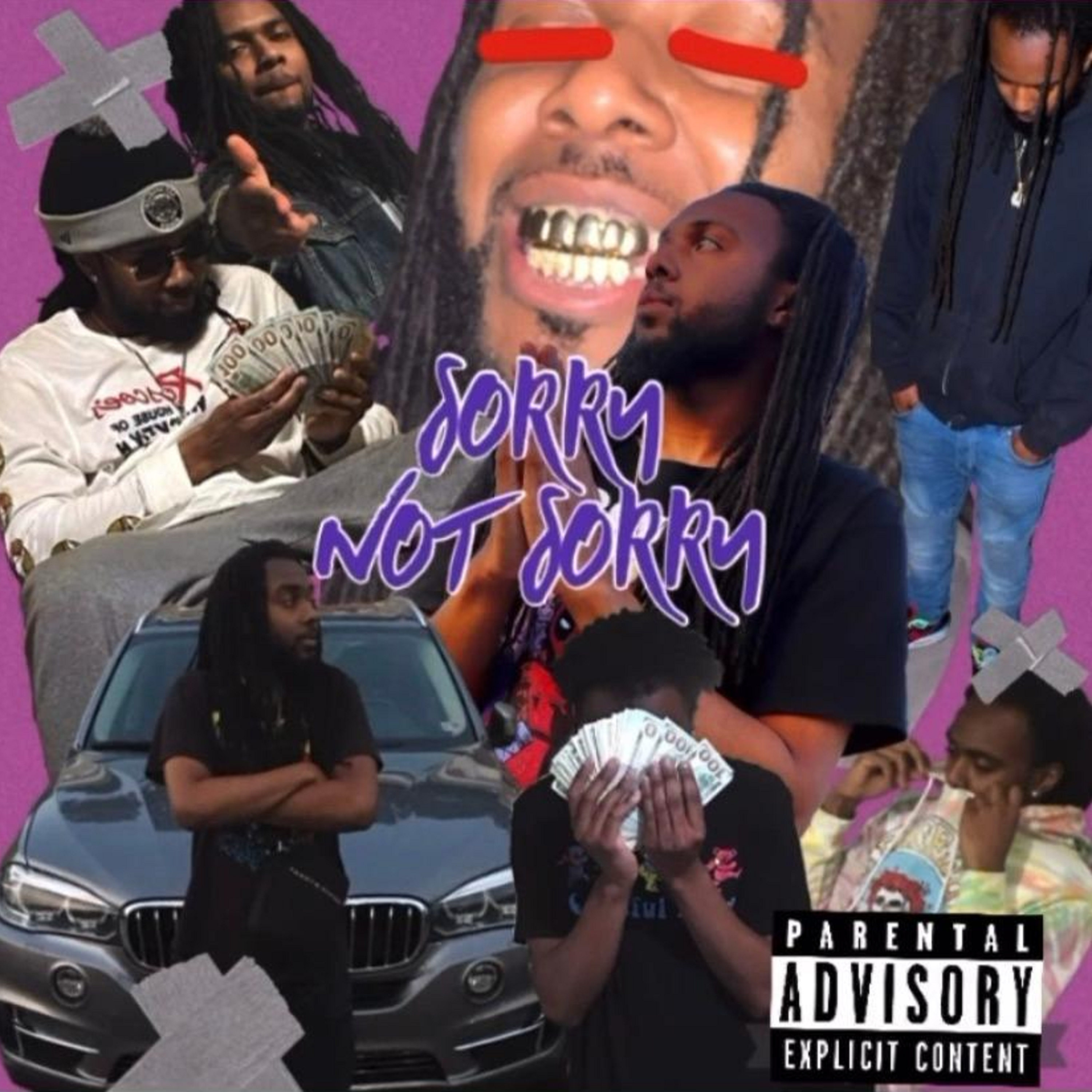 Sorry Not Sorry by Wildness Wilder