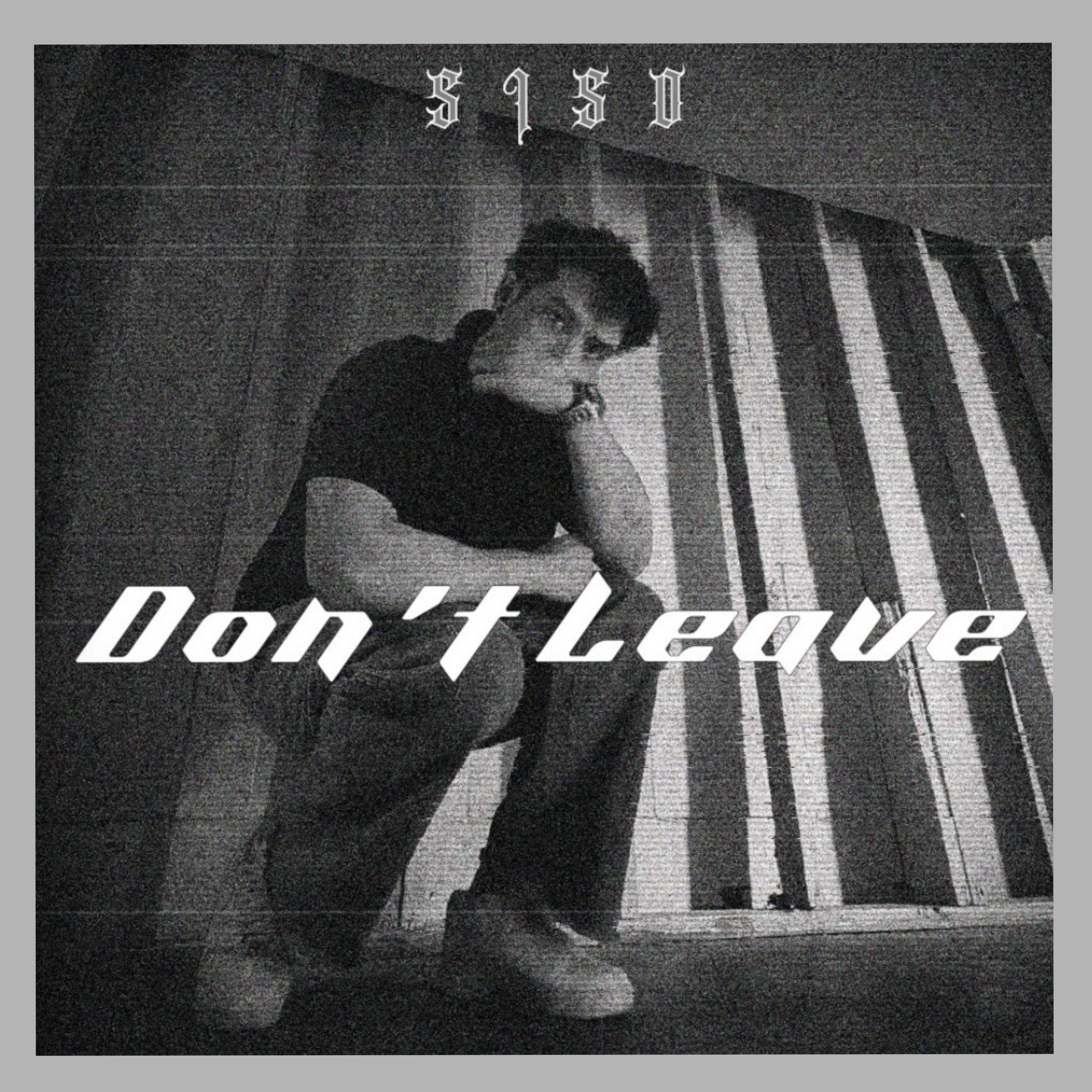 Don’t Leave artwork
