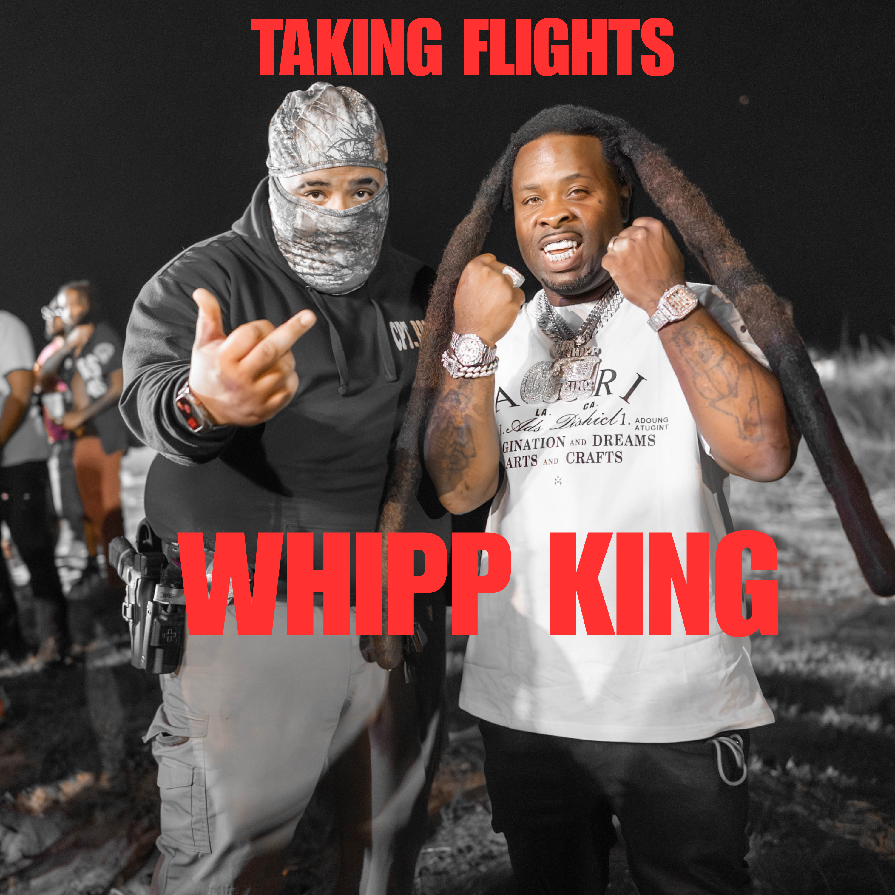Taking Flights artwork