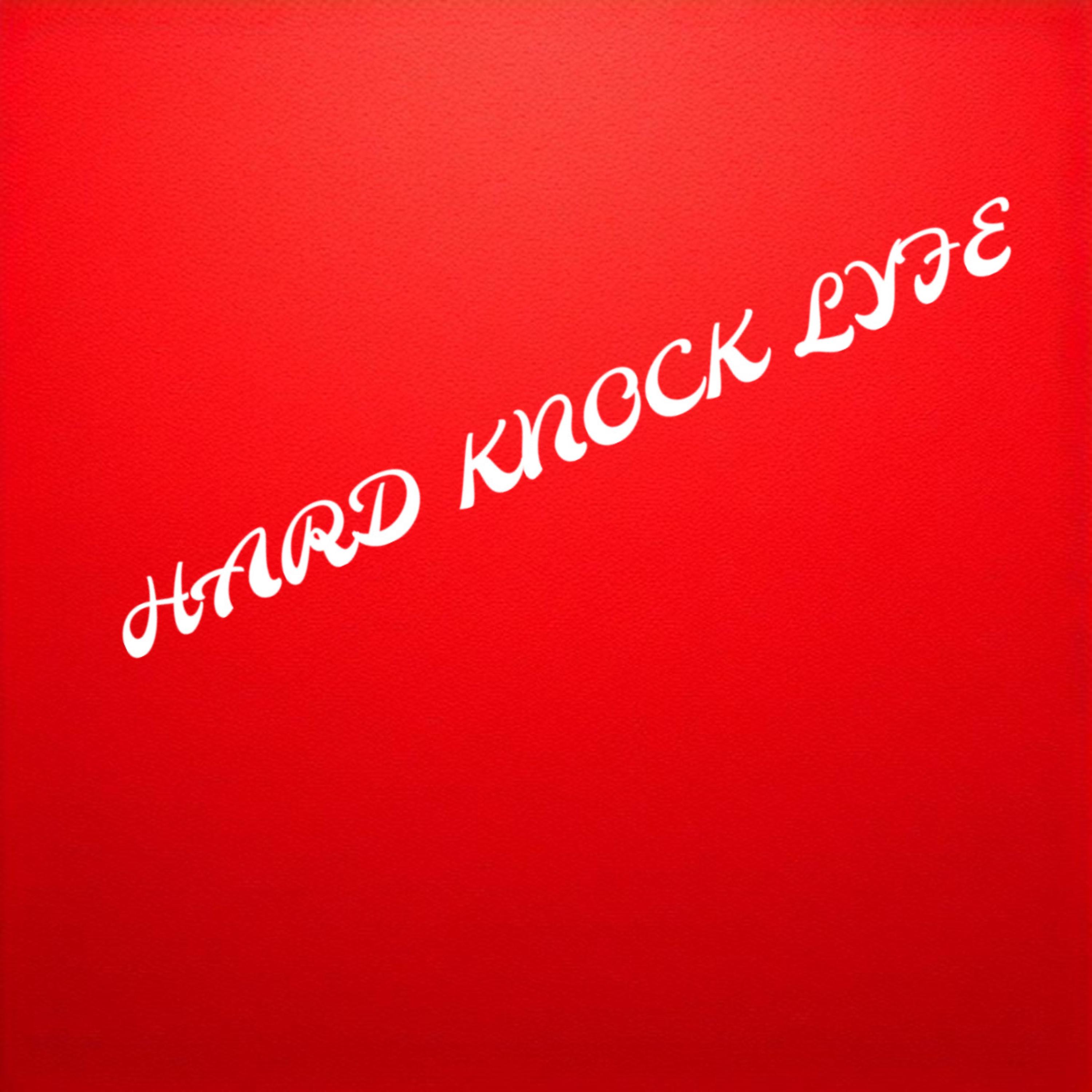 Hard knock Lyfe artwork