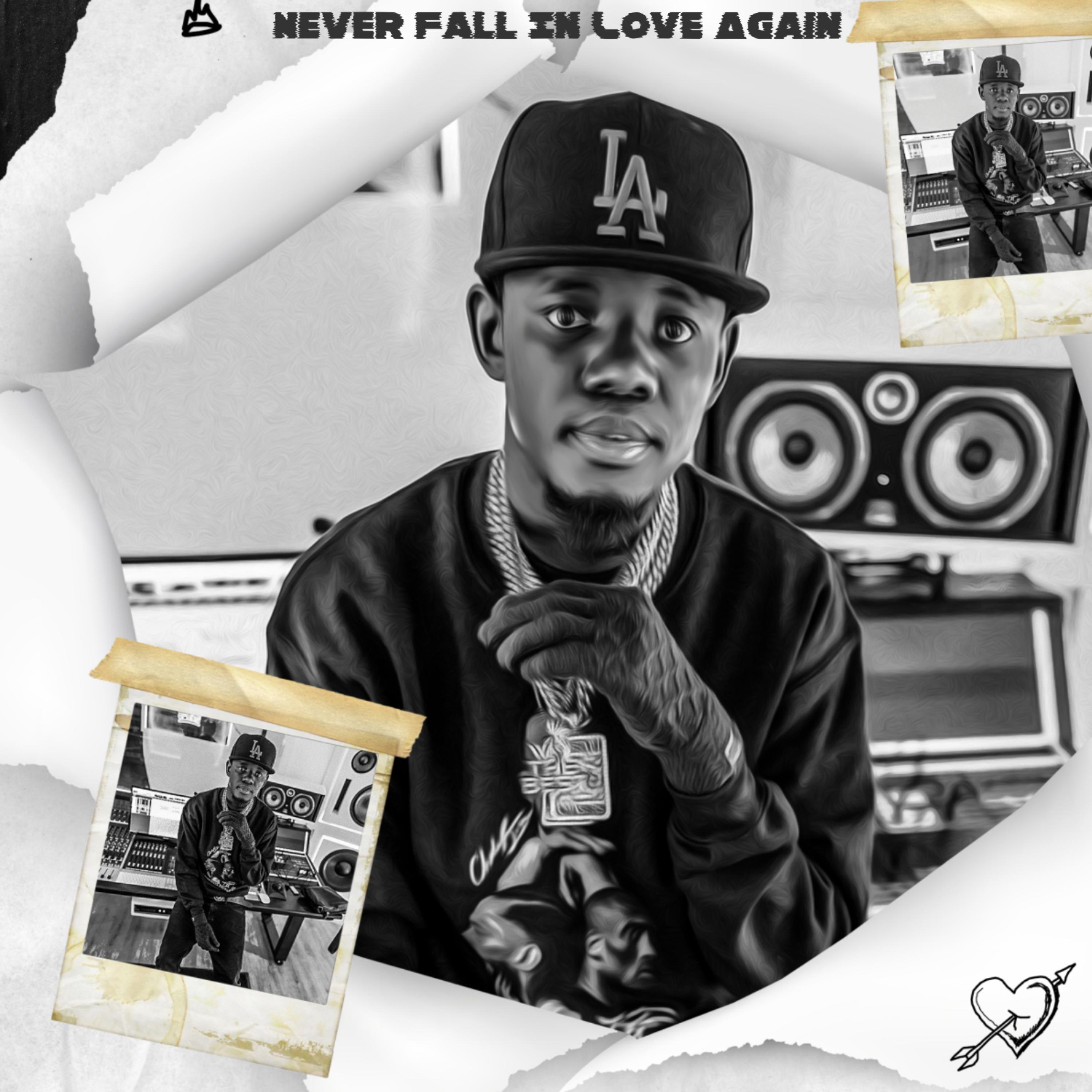 Never Fall In Love Again artwork