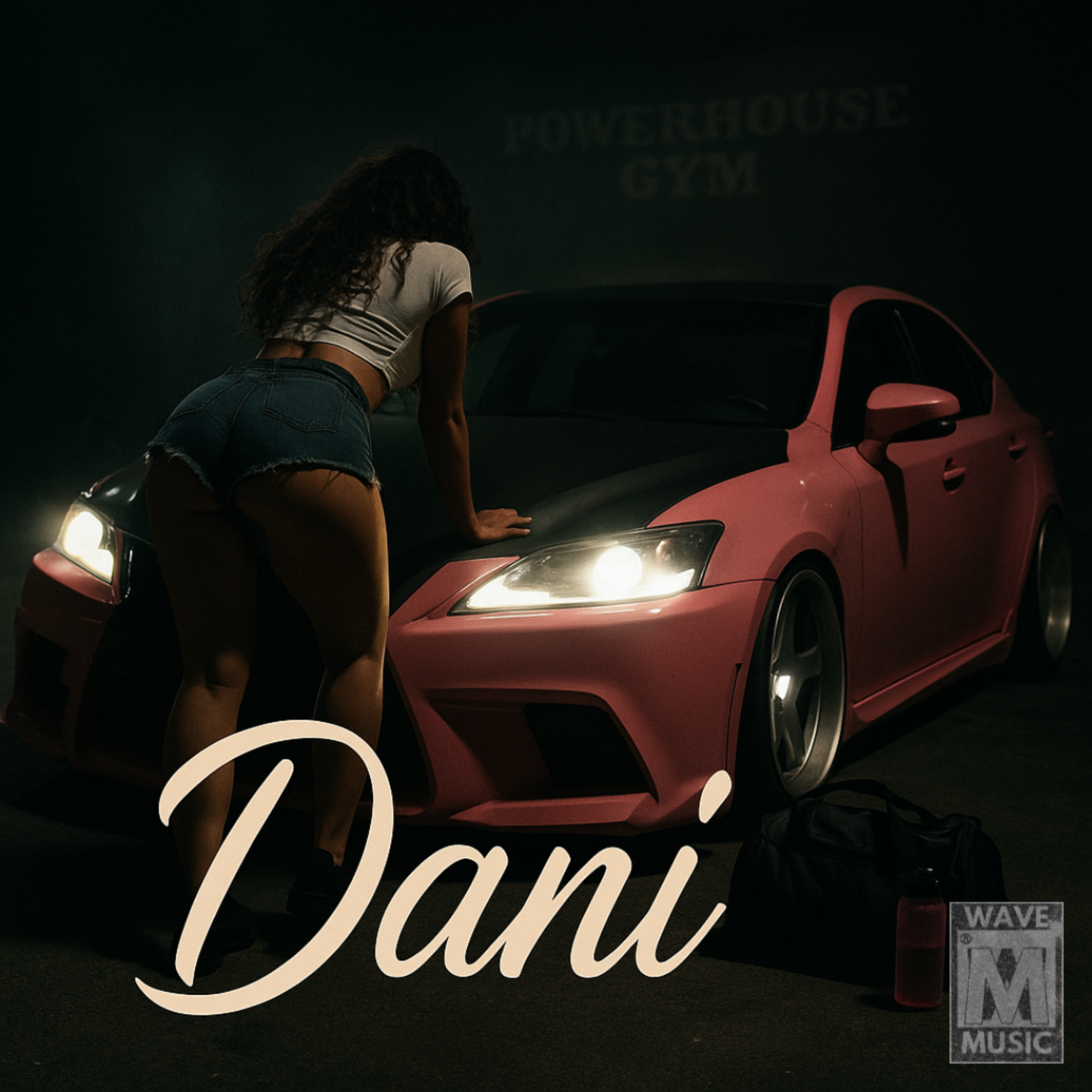 Dani artwork