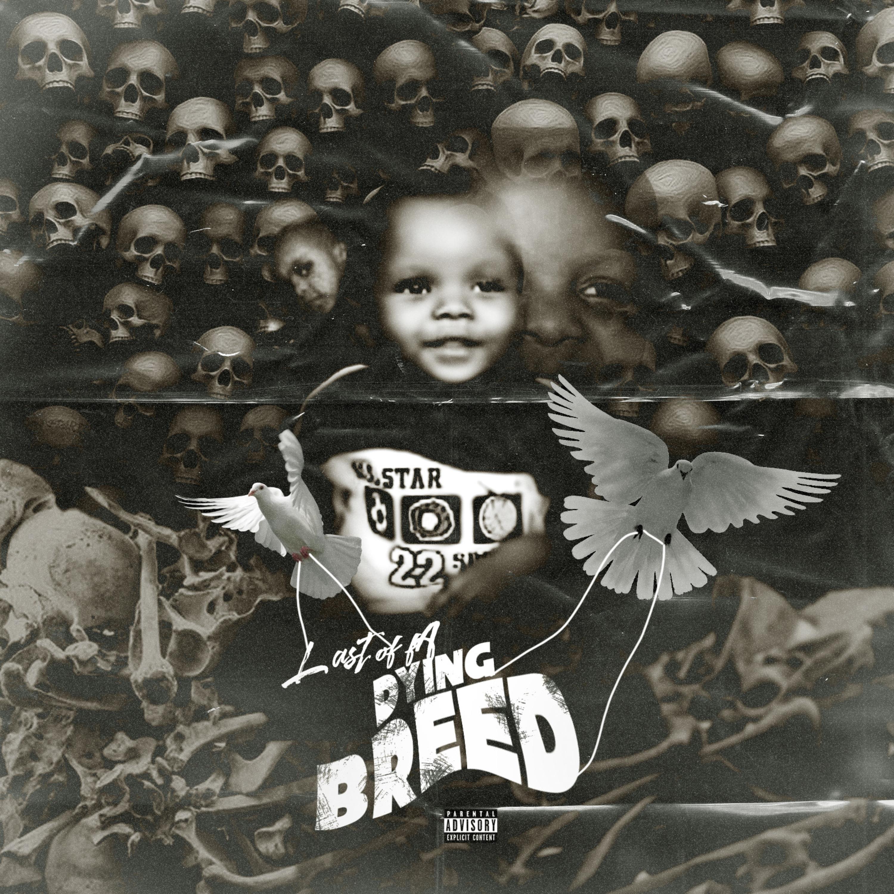 The Last Of a Dying Breed artwork