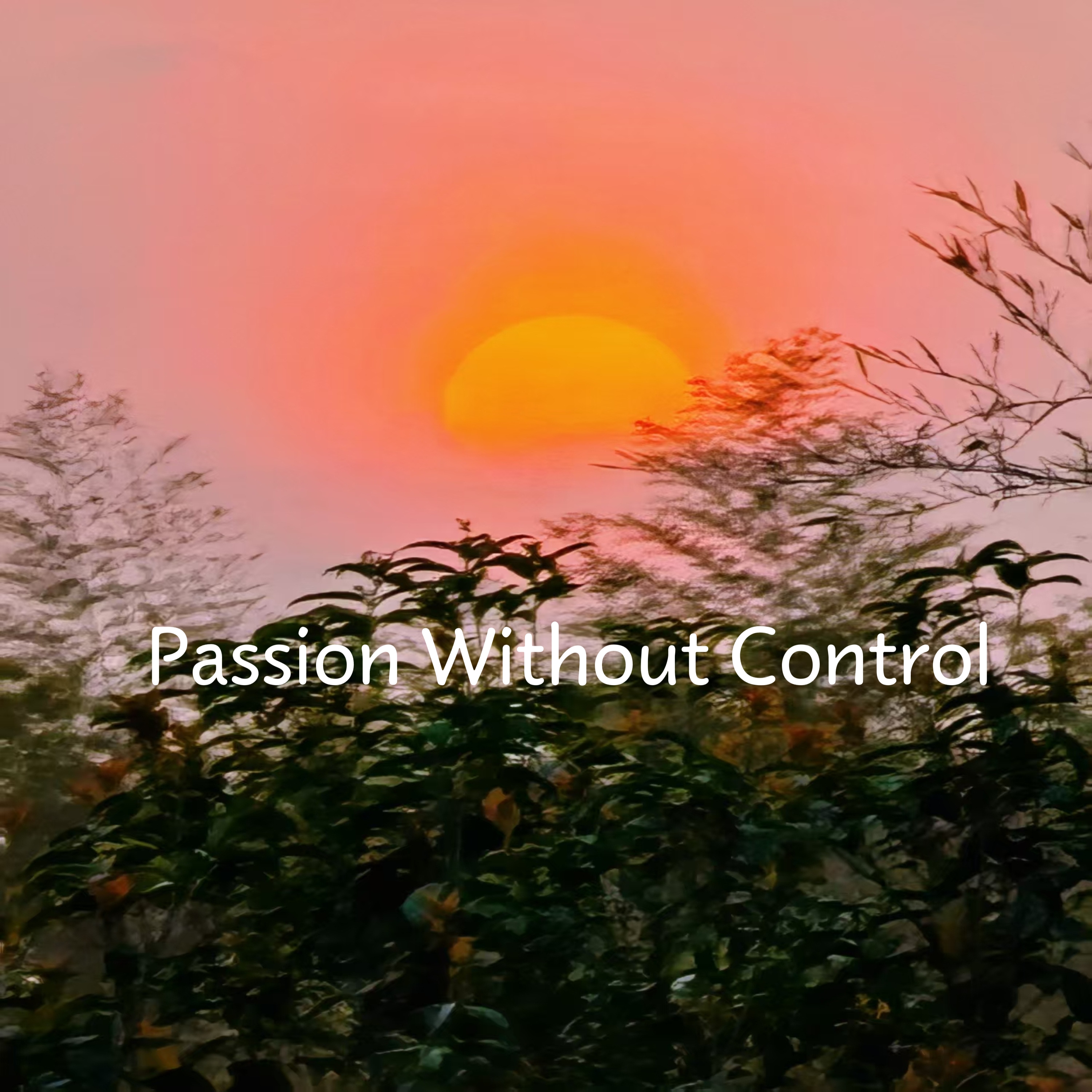Passion Without Control artwork