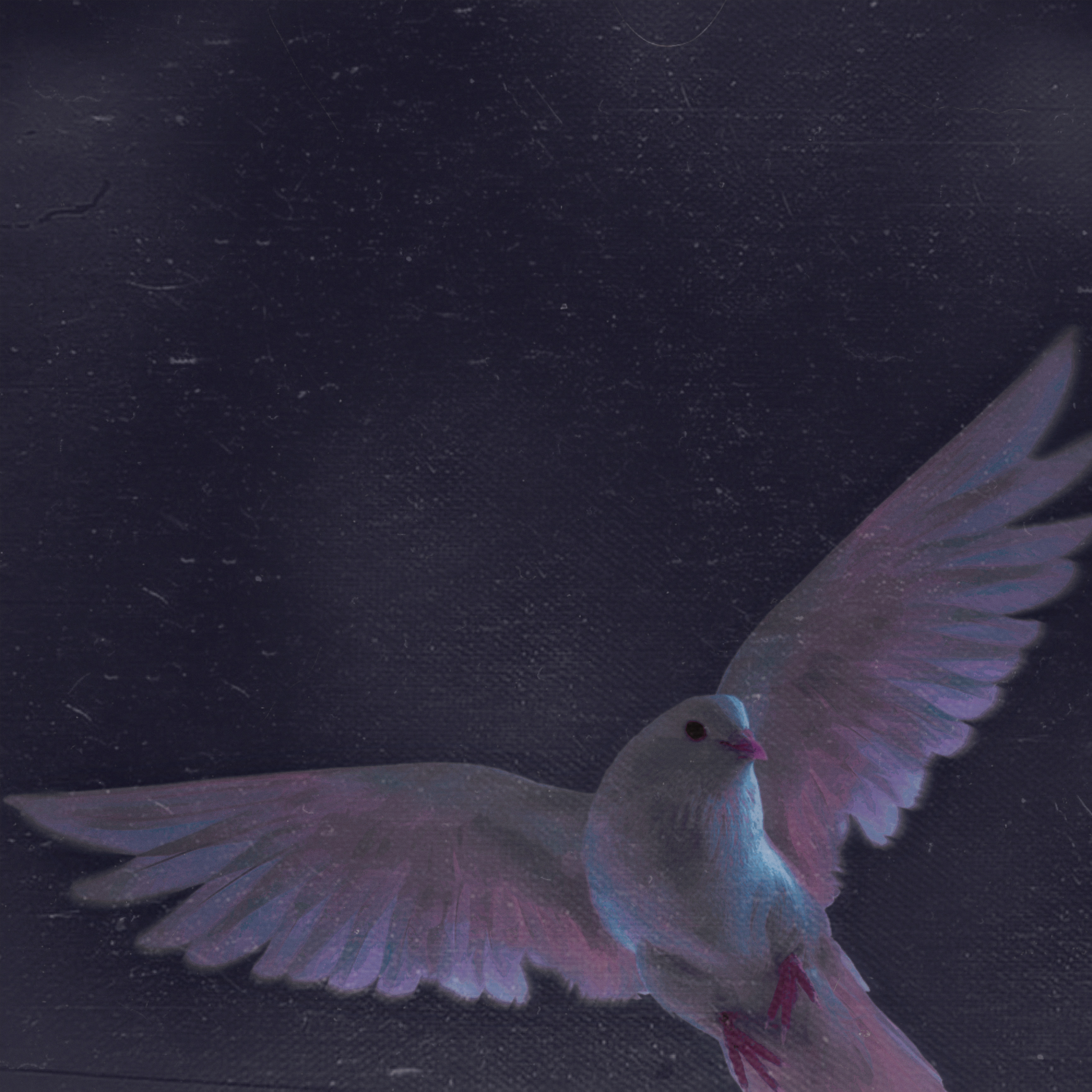 fresh new wings by LOVE, HEATH cover art