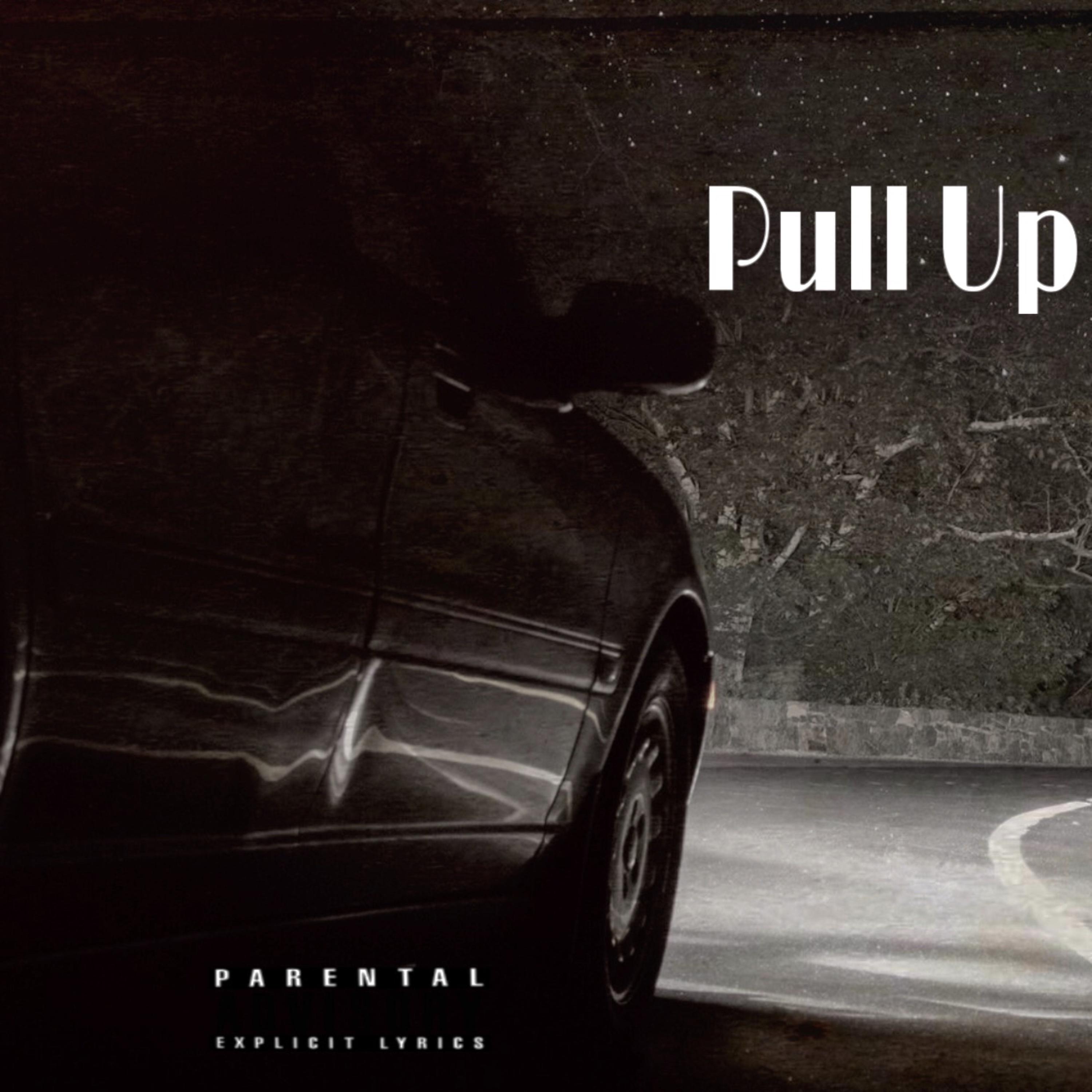 Pull Up by Richh Savage cover art