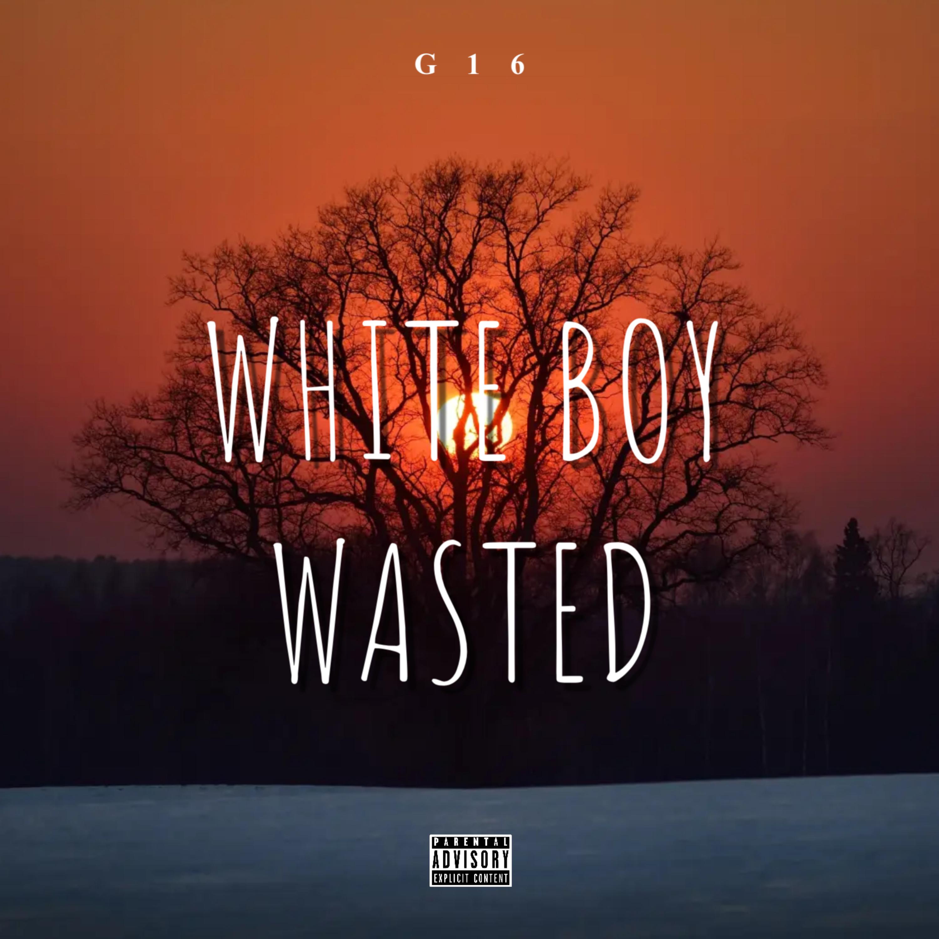 White Boy Wasted artwork