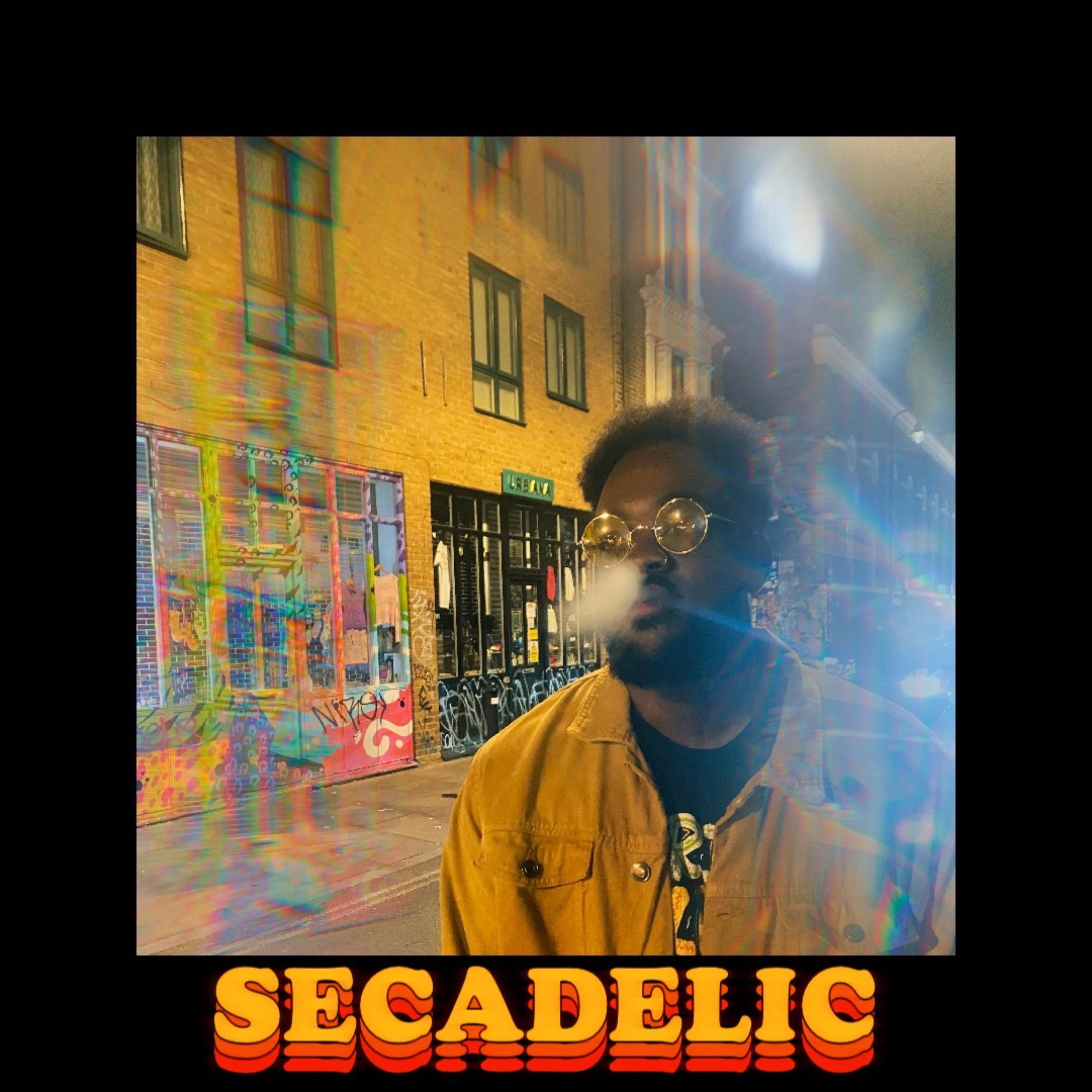 Secadelic artwork