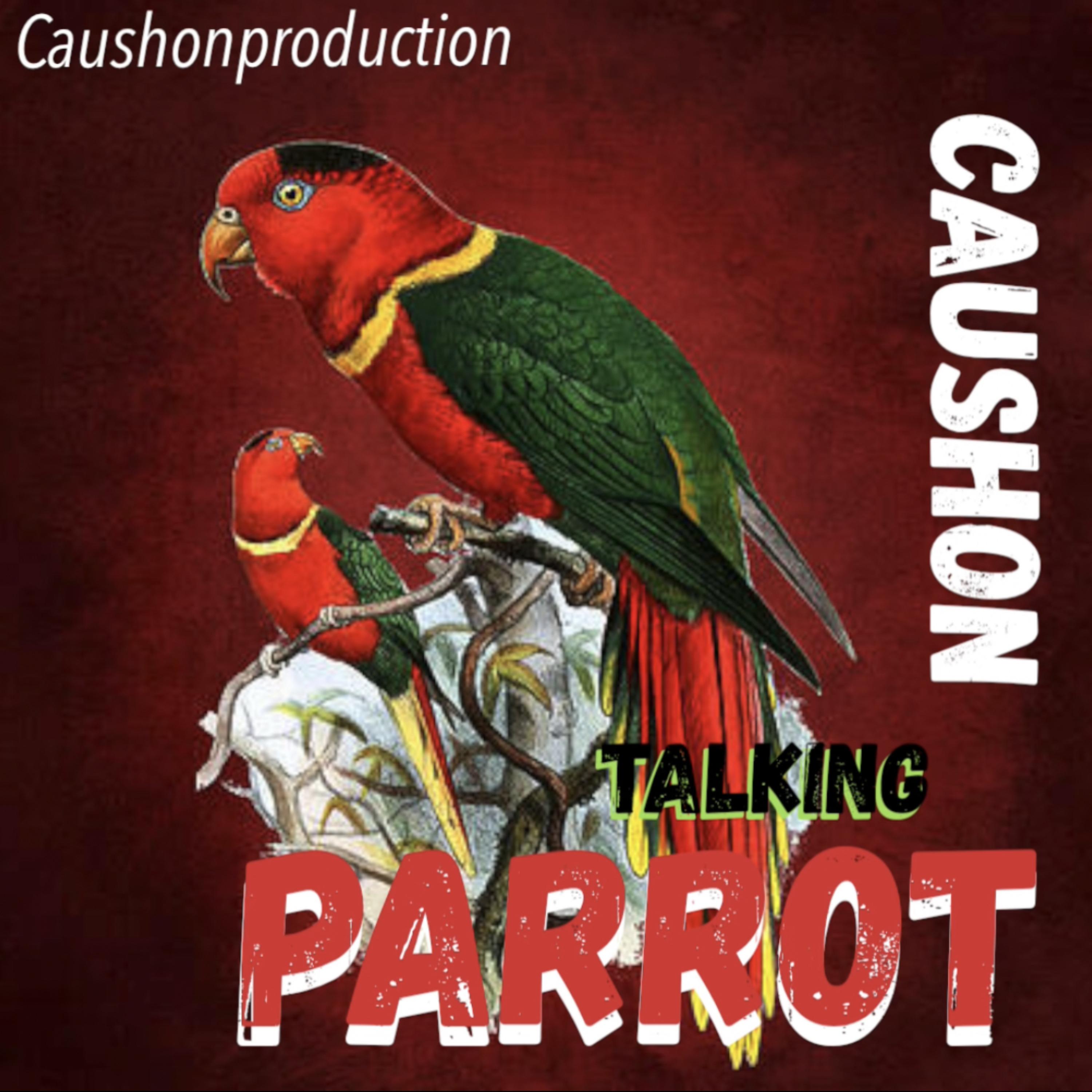 Talking Parrot artwork