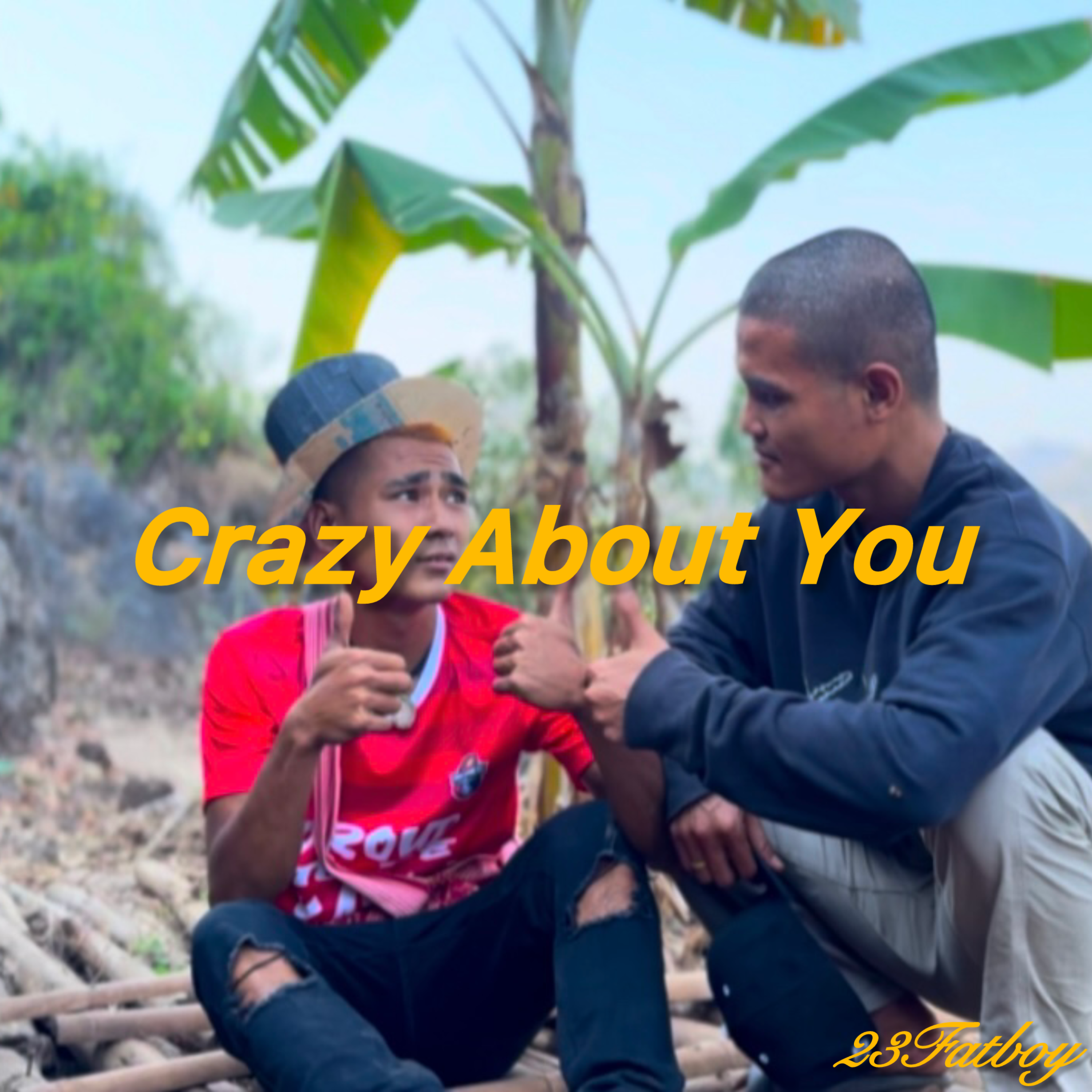 Crazy About You artwork