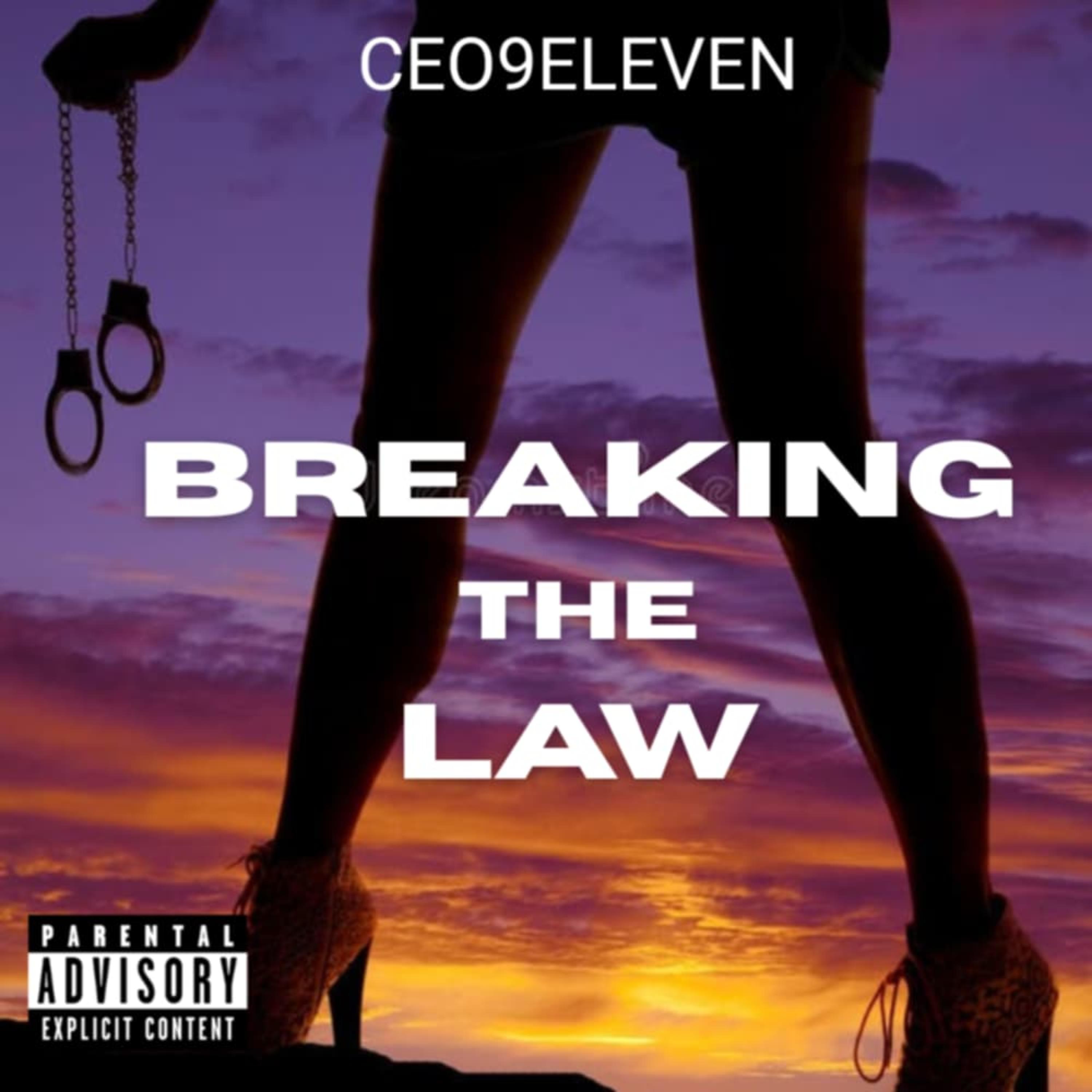 BREAKING THE LAW artwork