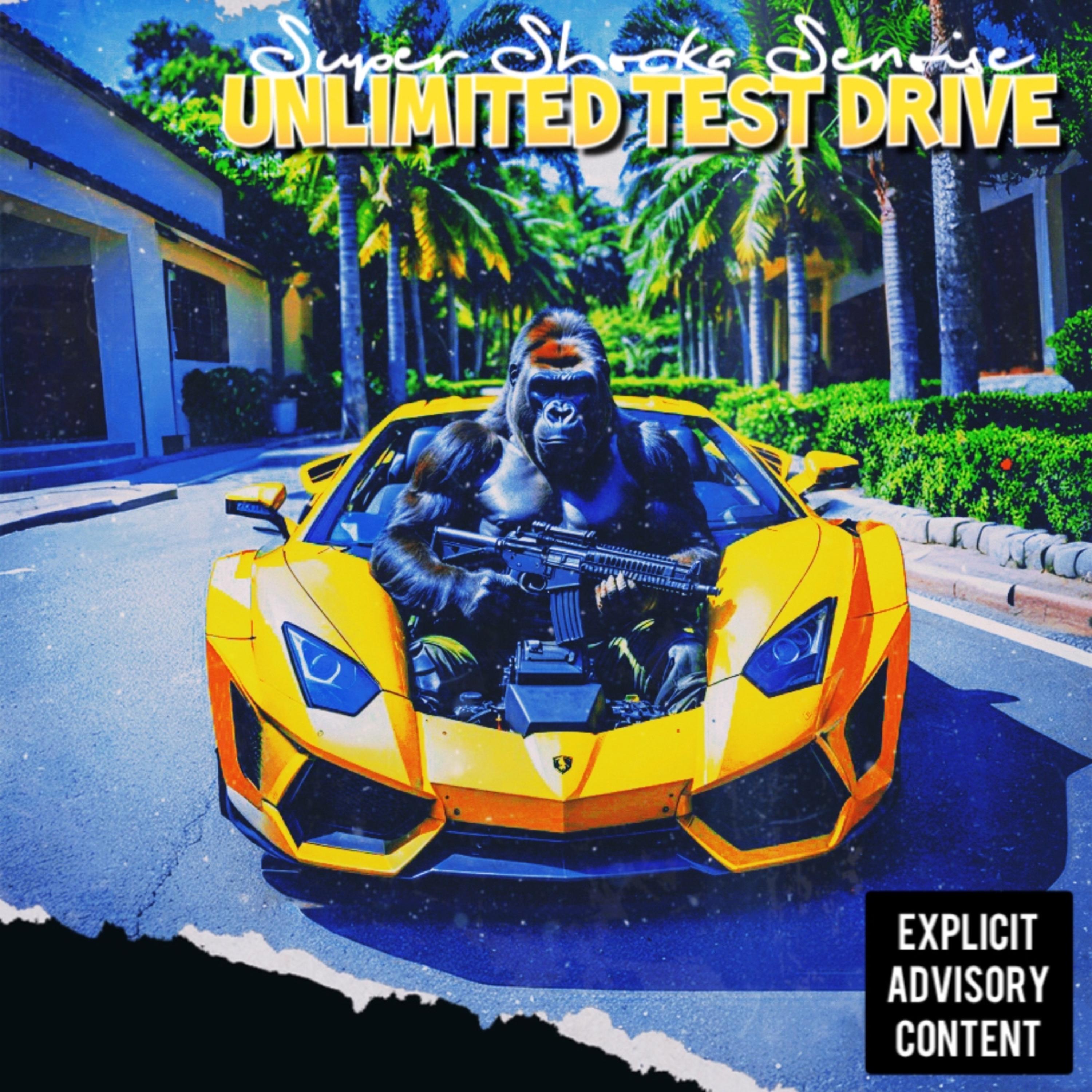 Unlimited Test Drive artwork