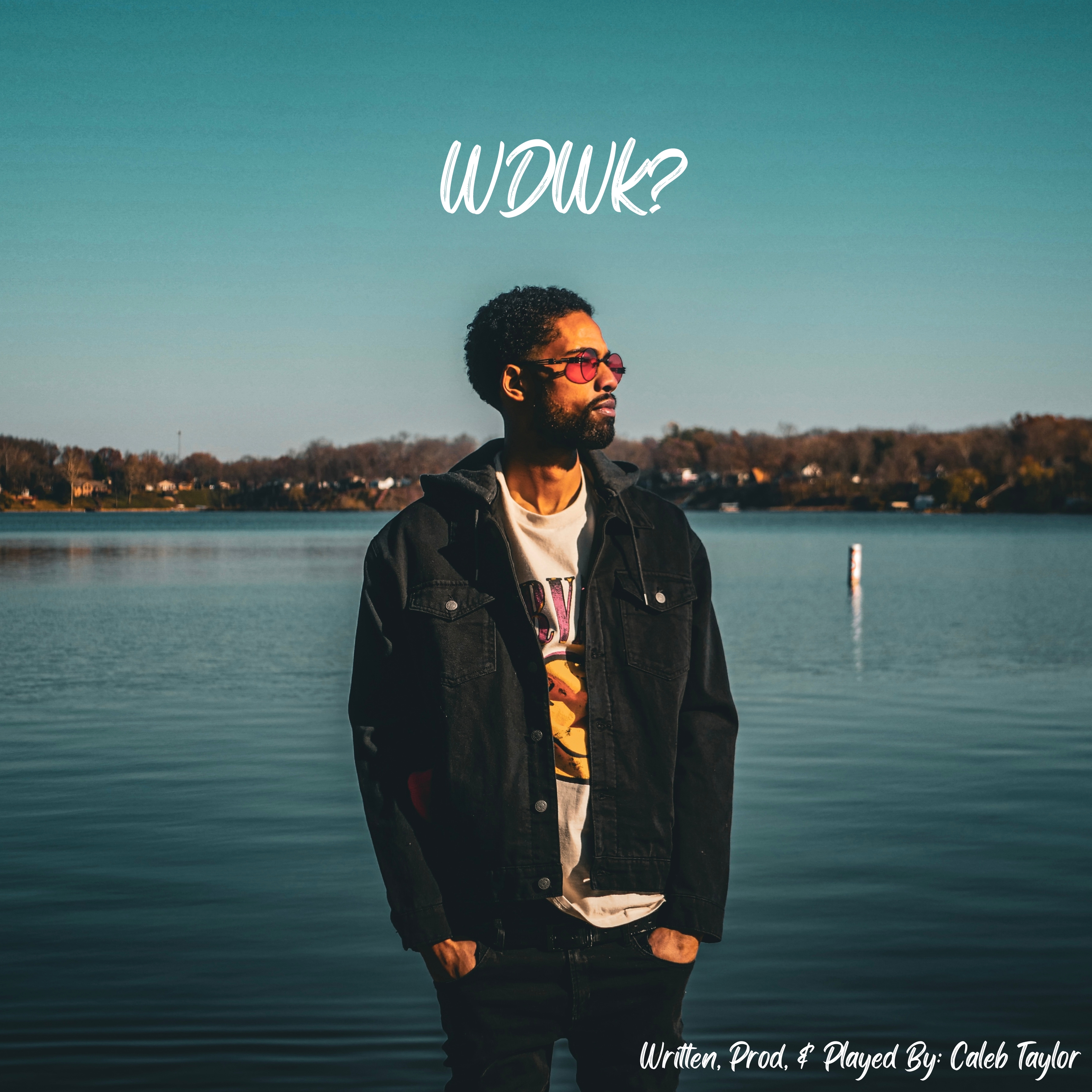 What Do We Know? artwork