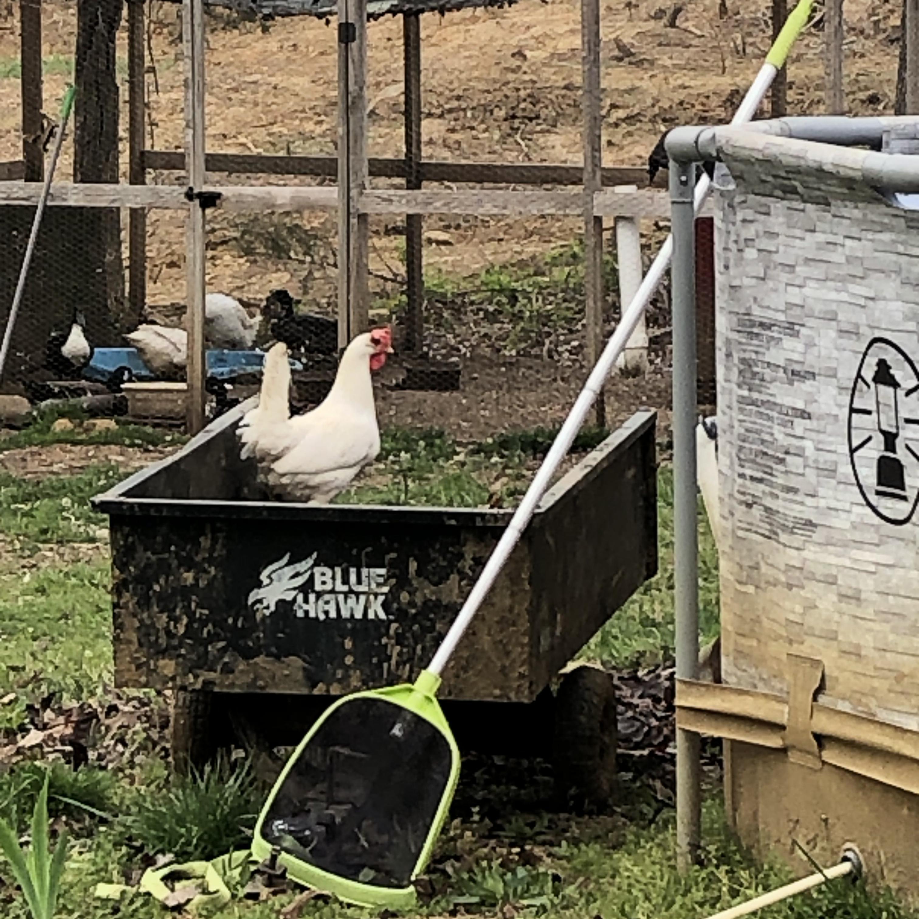 Heavy Footed Disco artwork